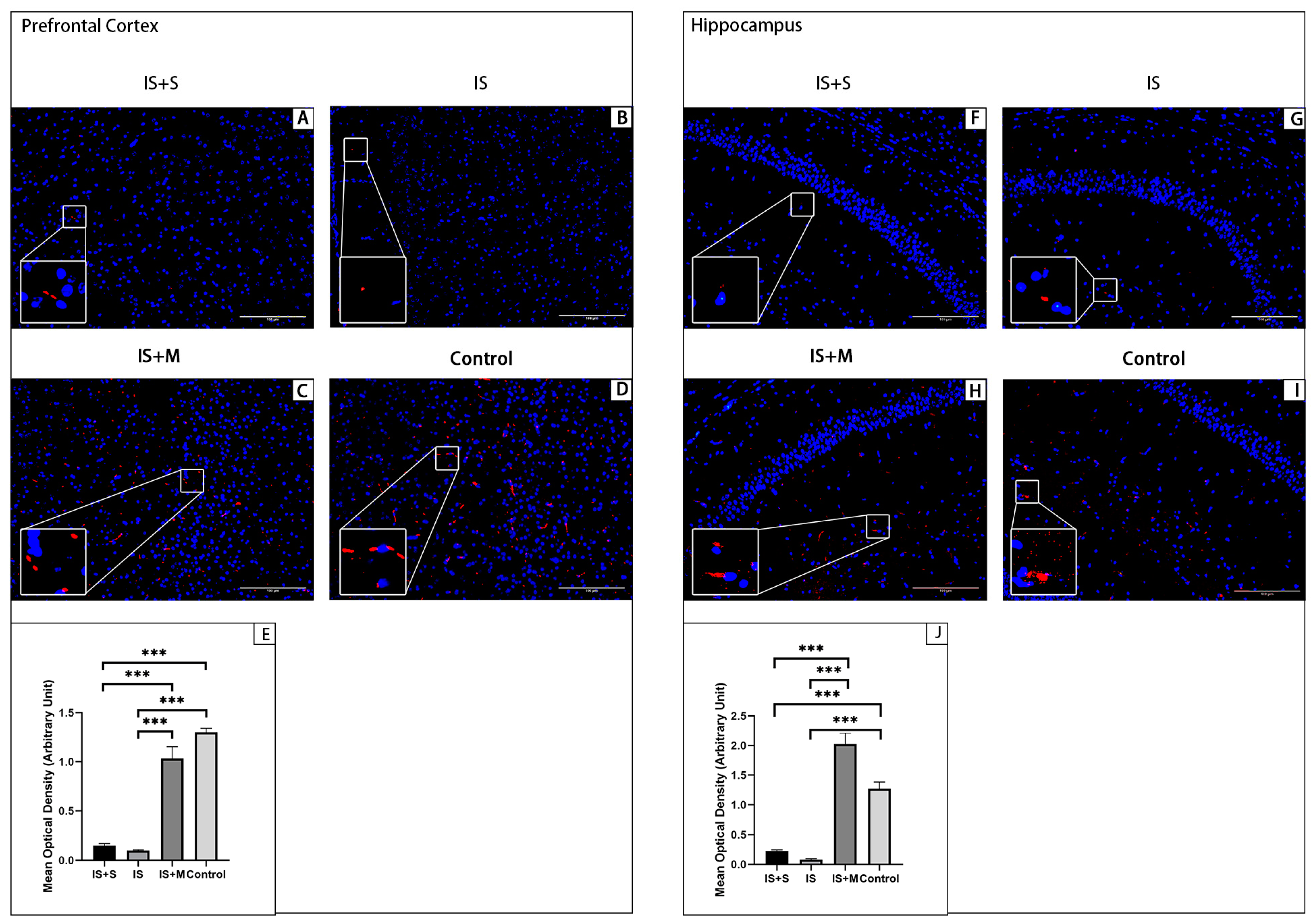 Brainsci 13 00331 g009