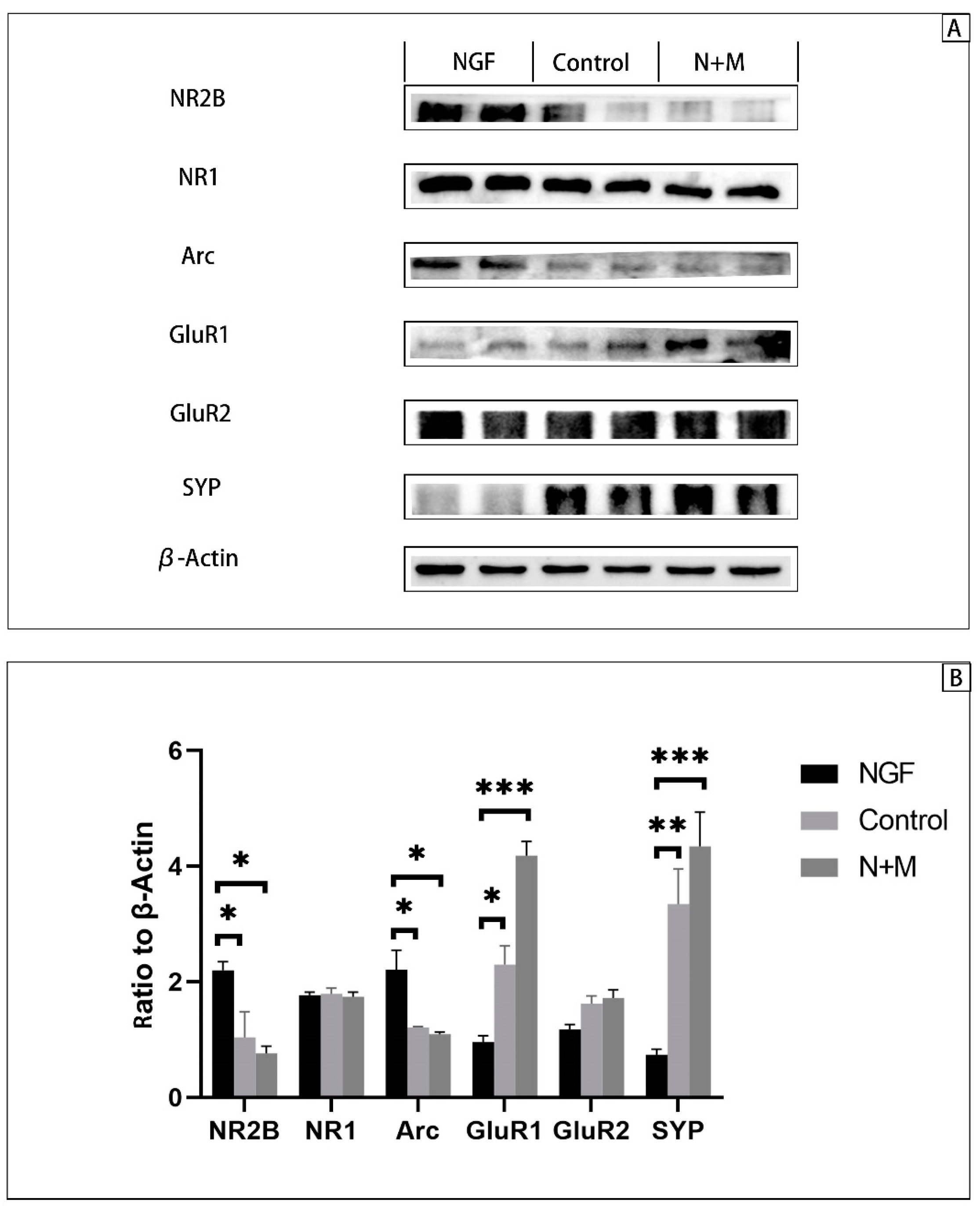 Brainsci 13 00331 g010