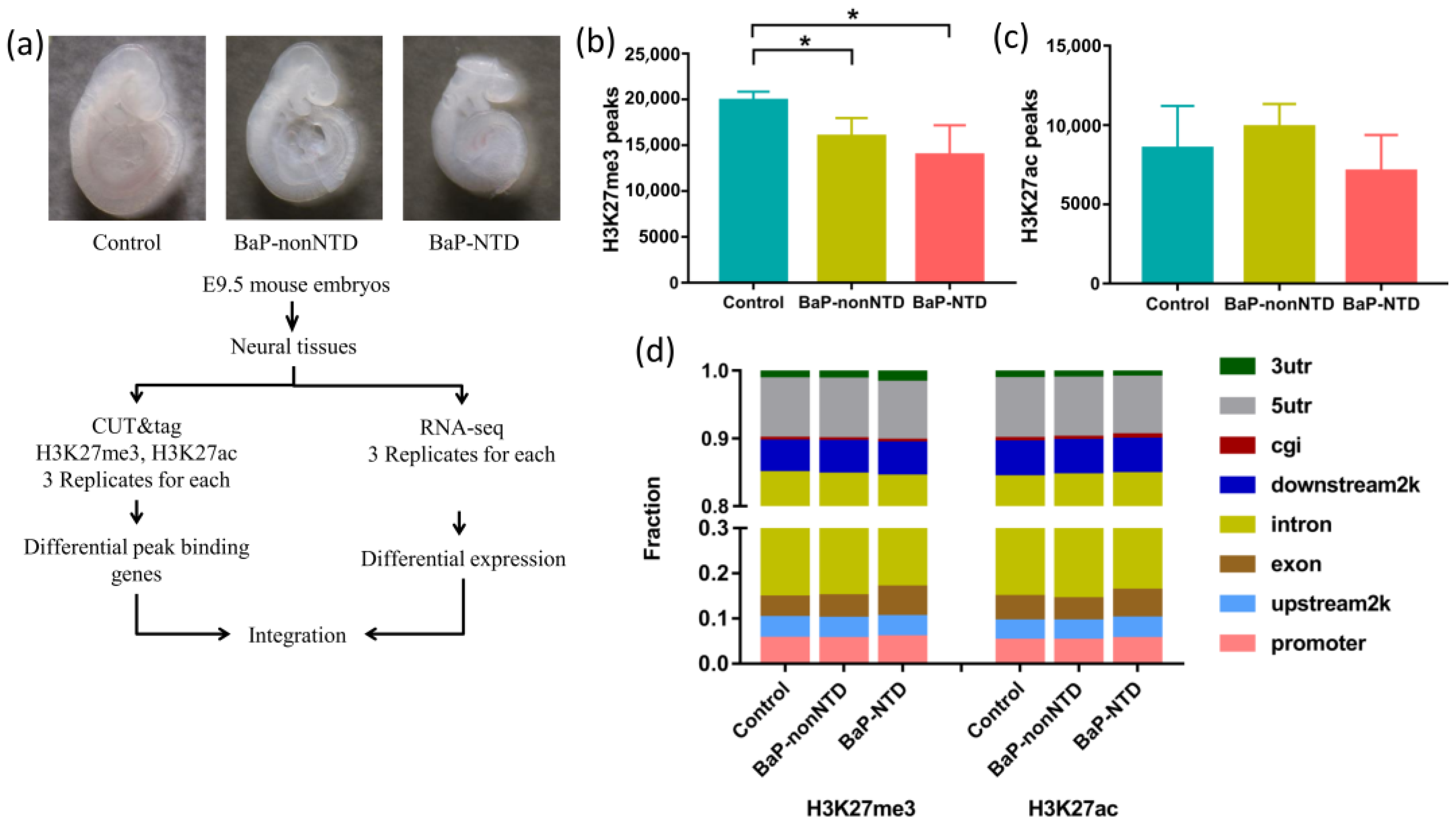 Brainsci 13 00334 g001