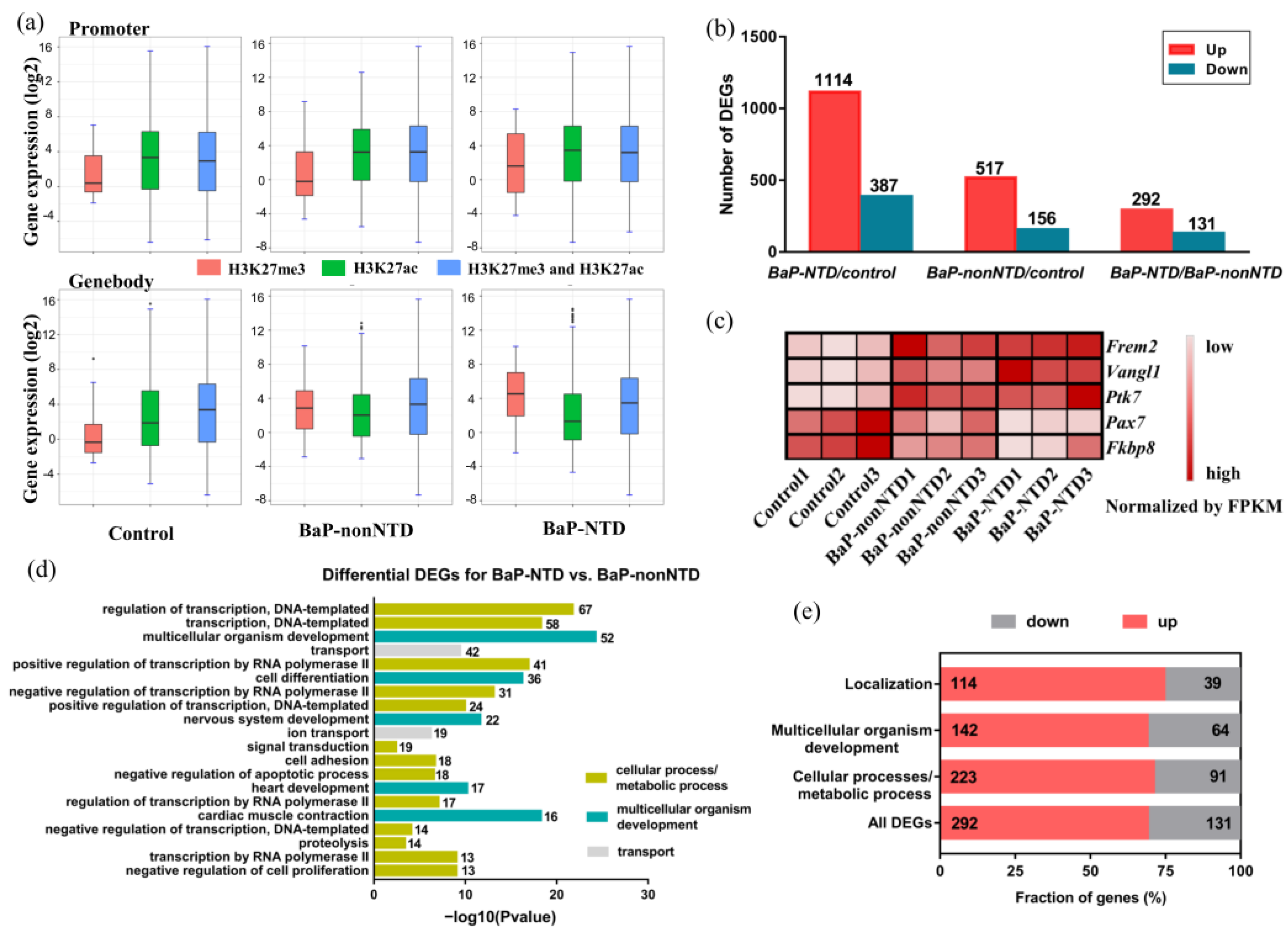 Brainsci 13 00334 g004