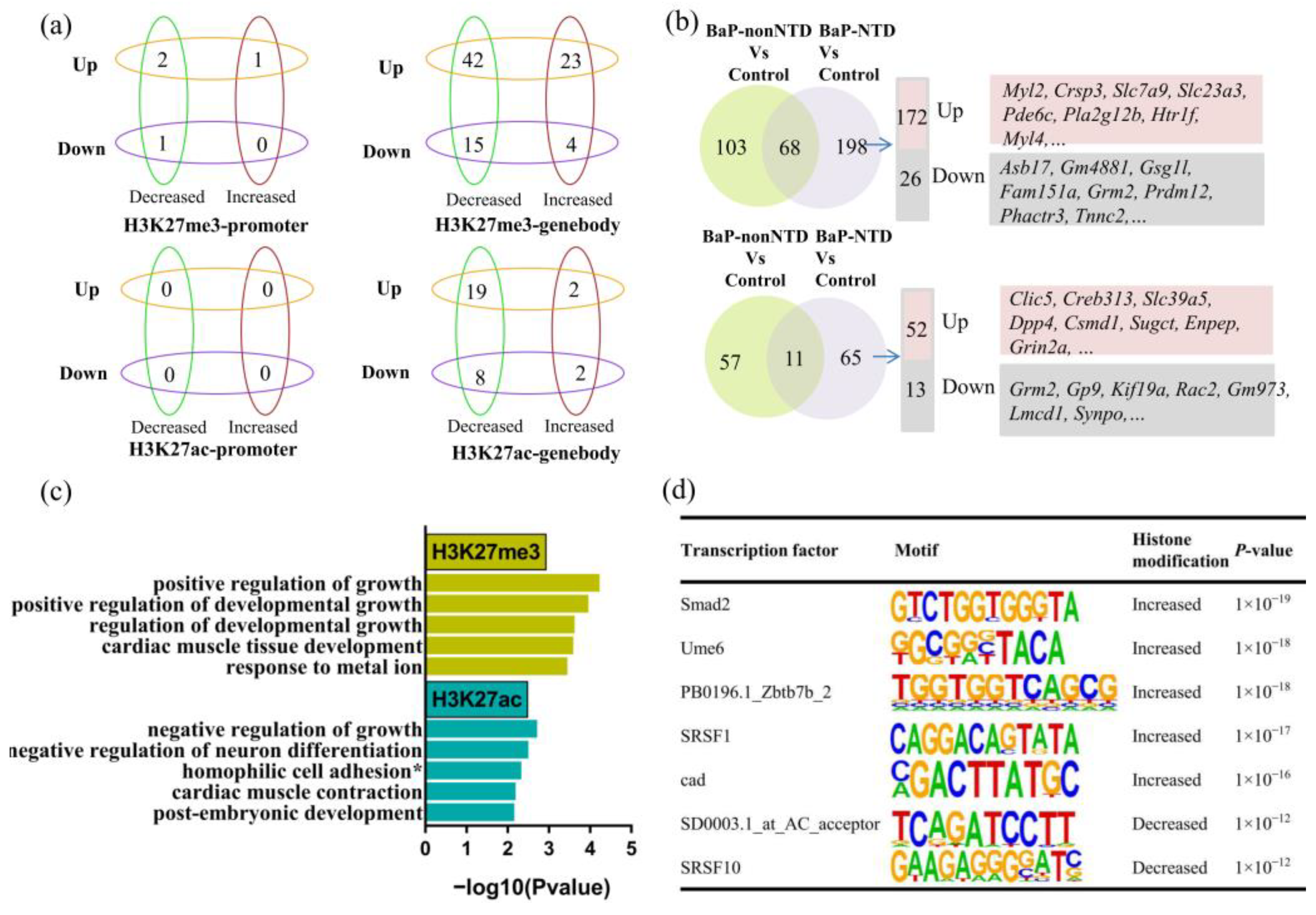 Brainsci 13 00334 g005
