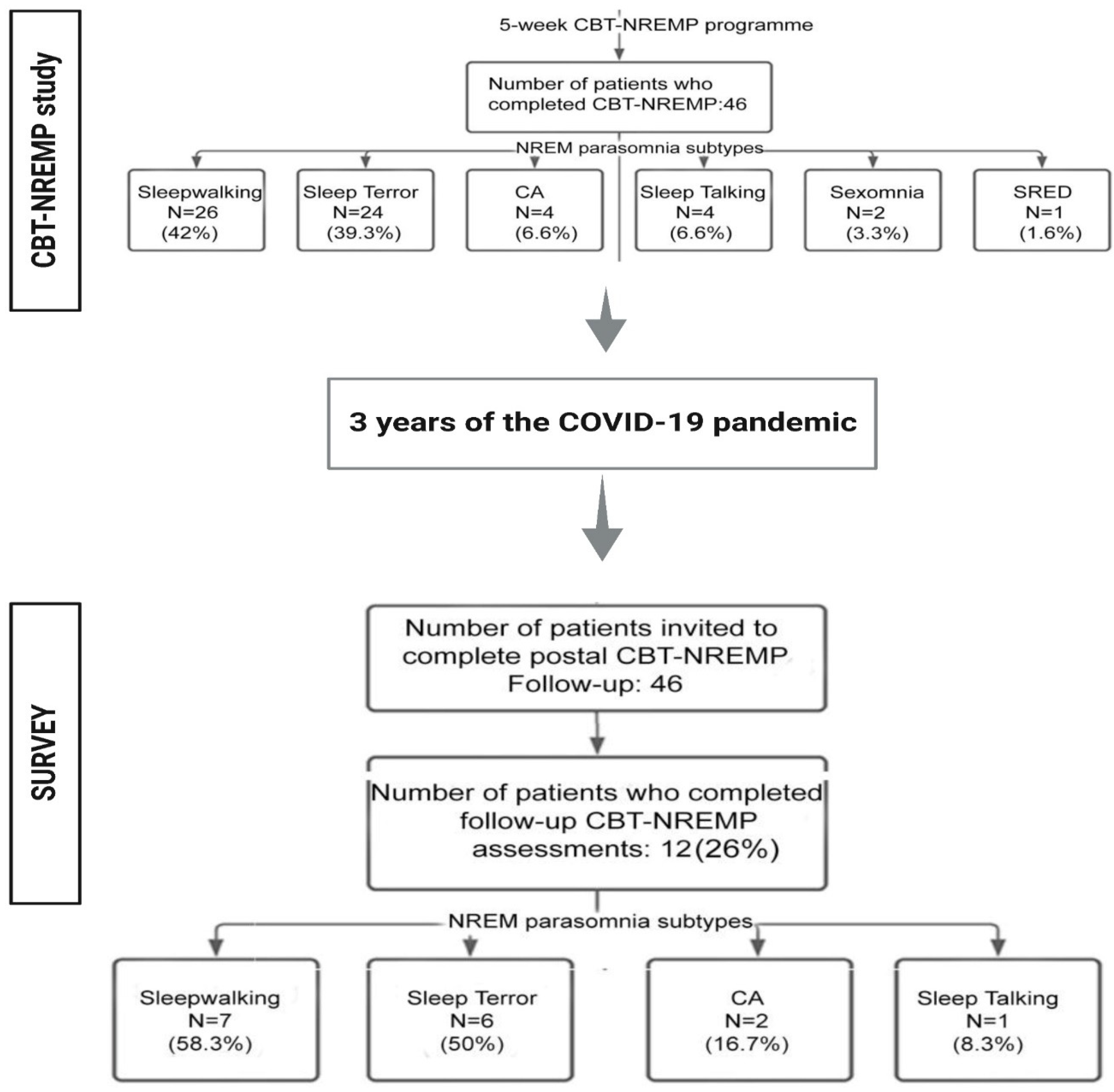 Brainsci 13 00347 g001