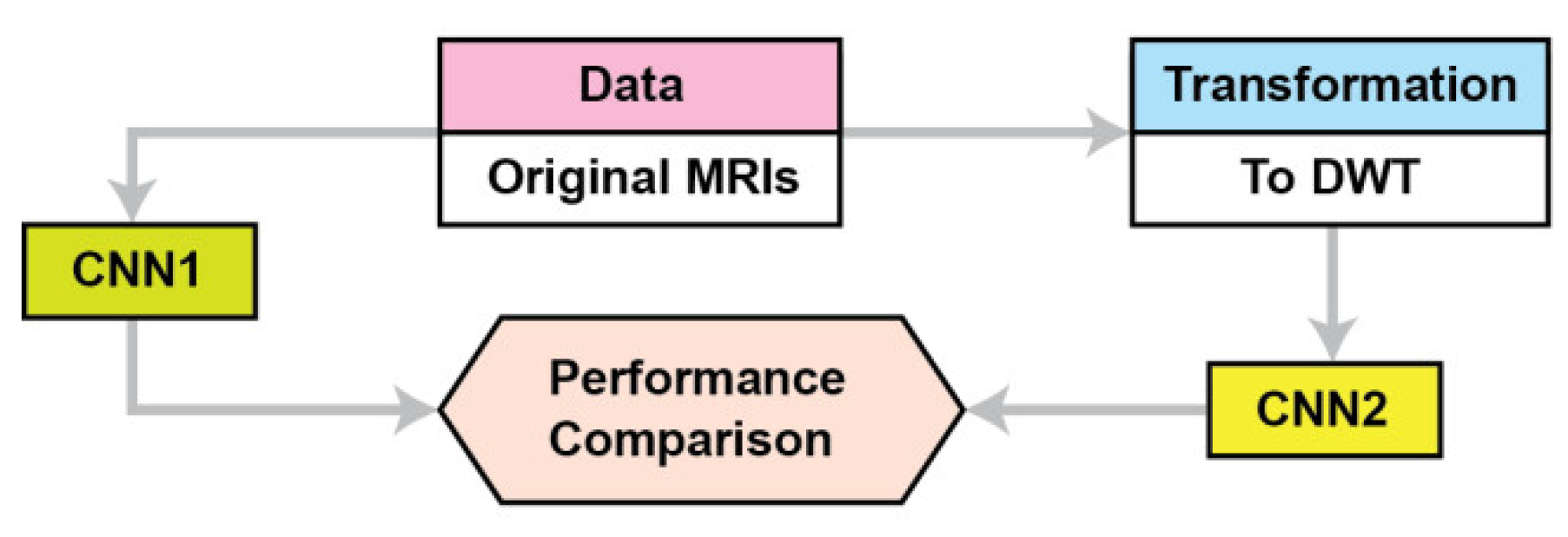 Brainsci 13 00348 g001