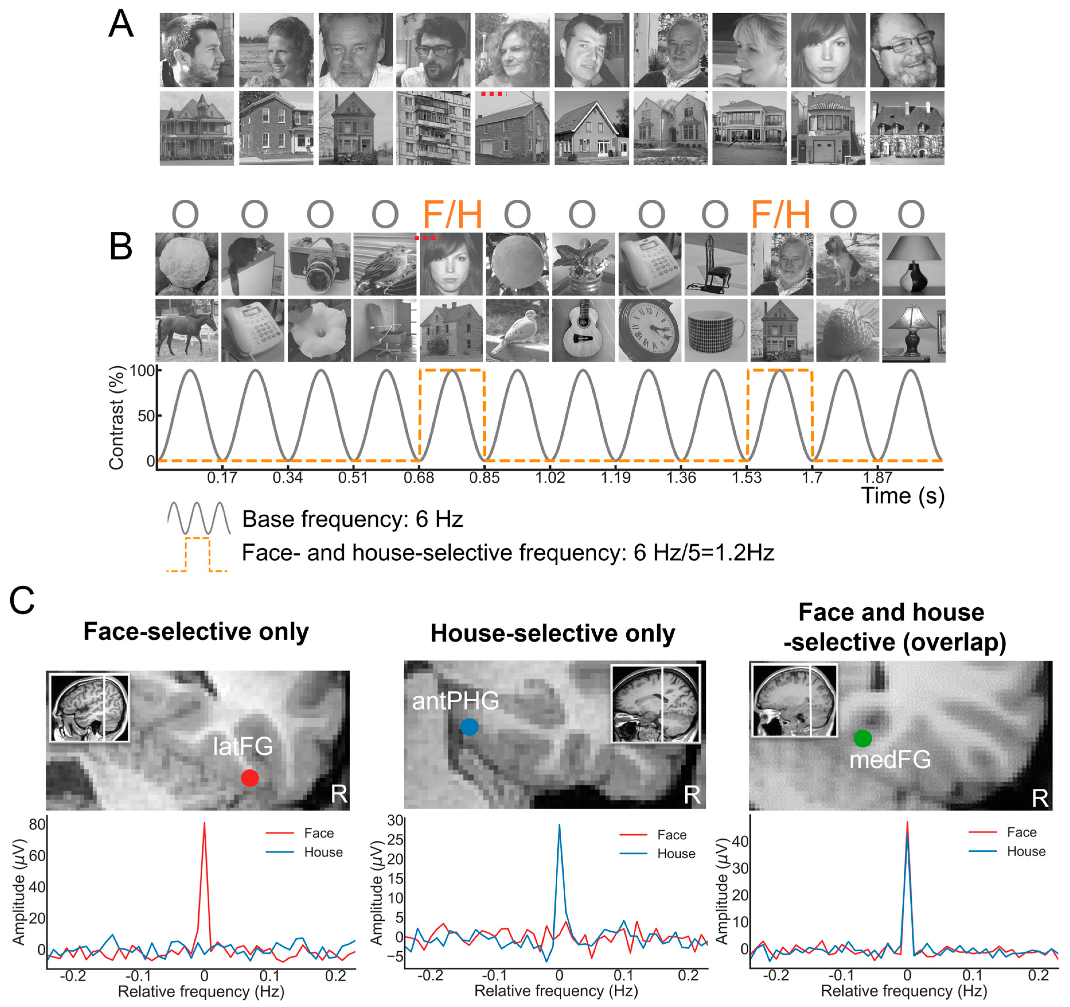 Brainsci 13 00354 g010