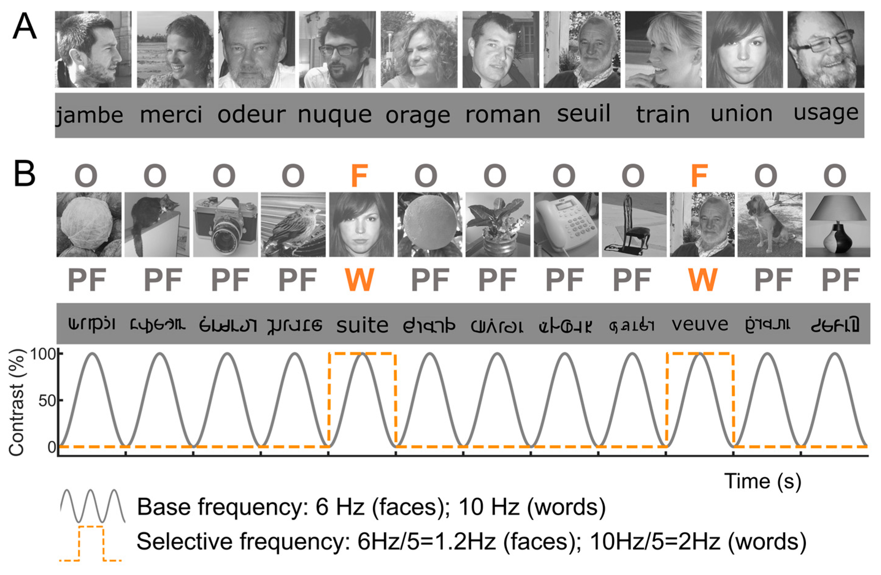 Brainsci 13 00354 g012