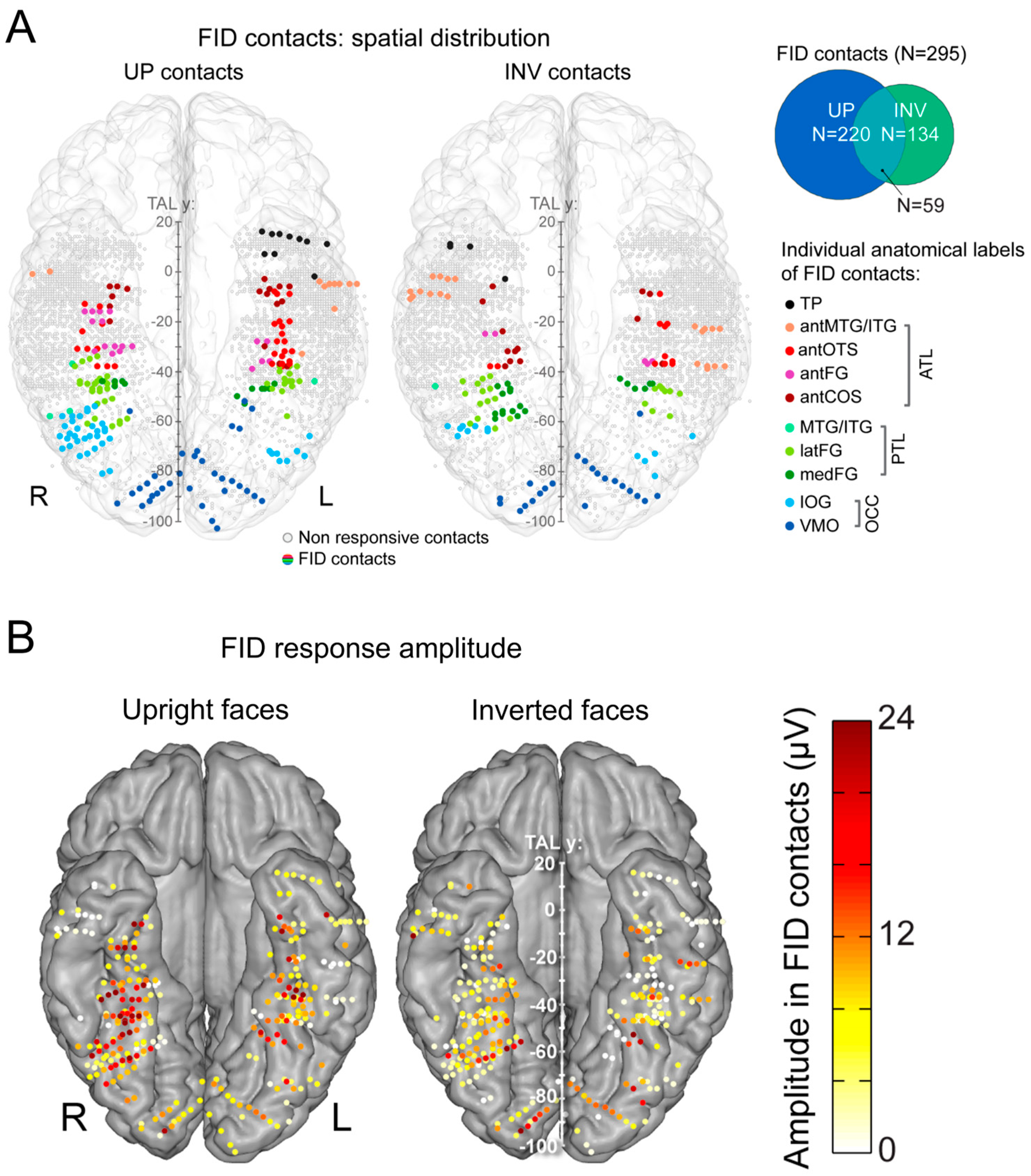 Brainsci 13 00354 g017