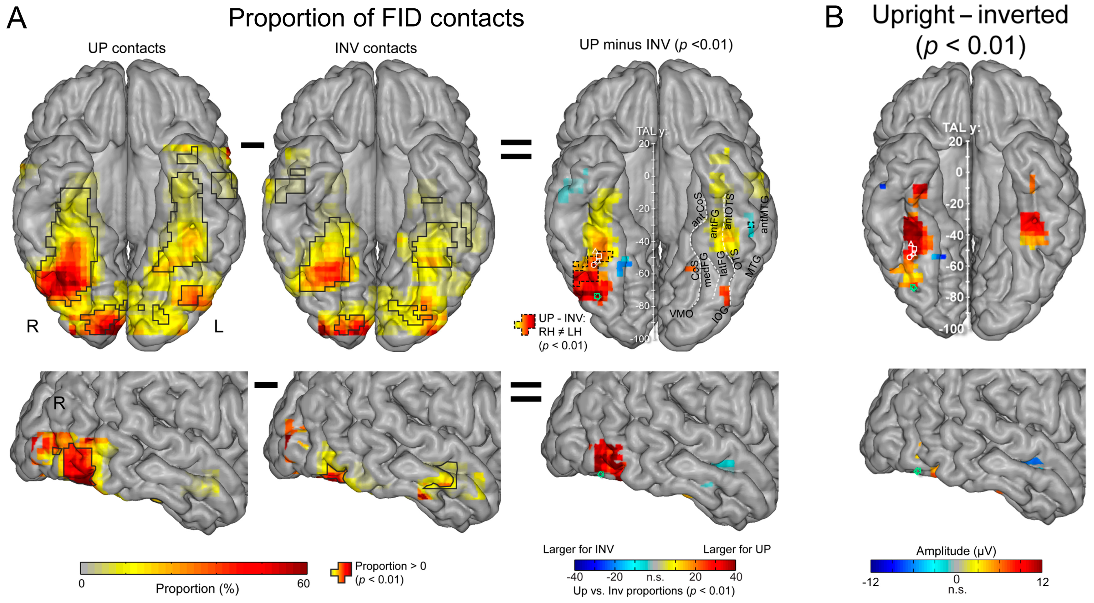Brainsci 13 00354 g018