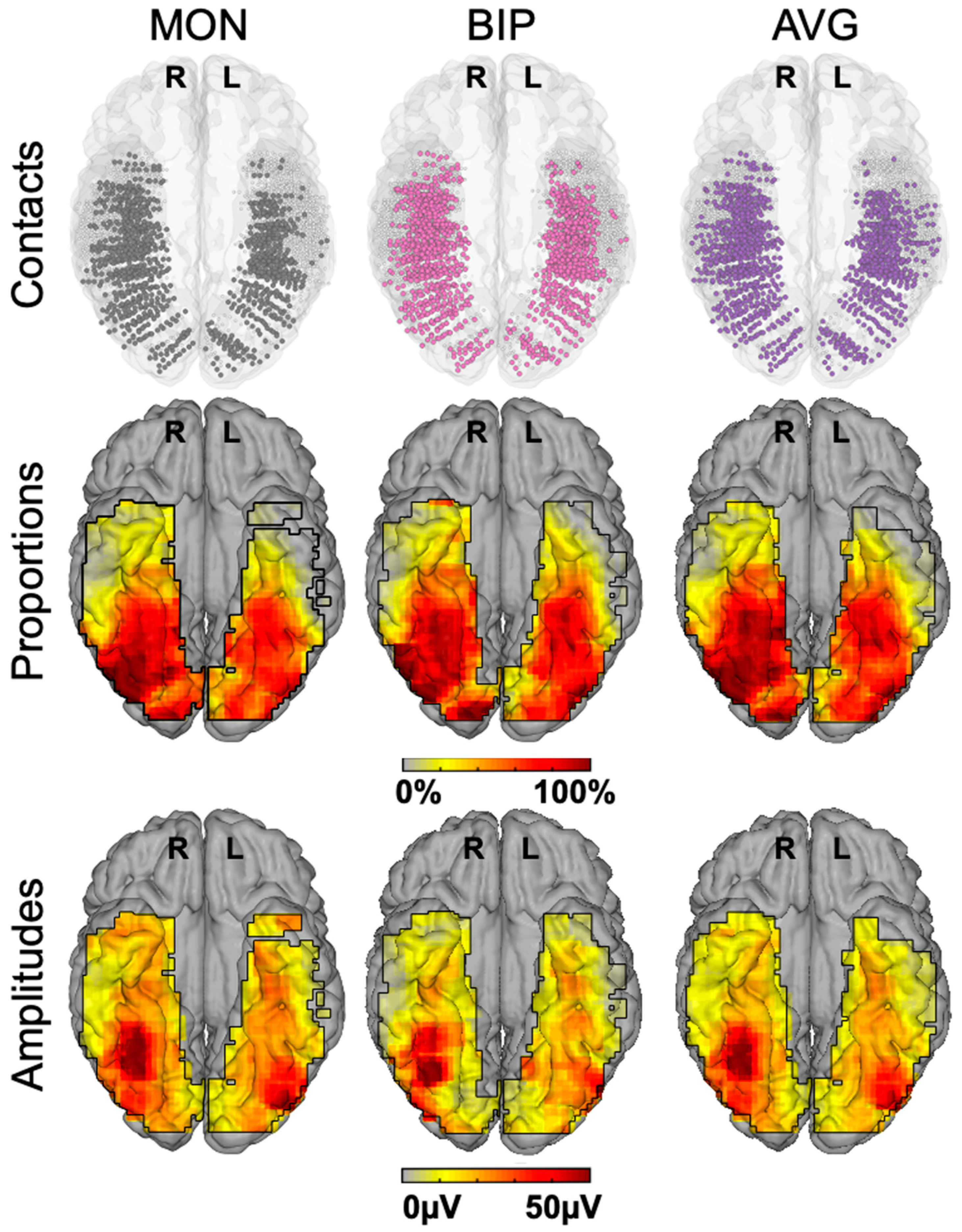 Brainsci 13 00354 g019