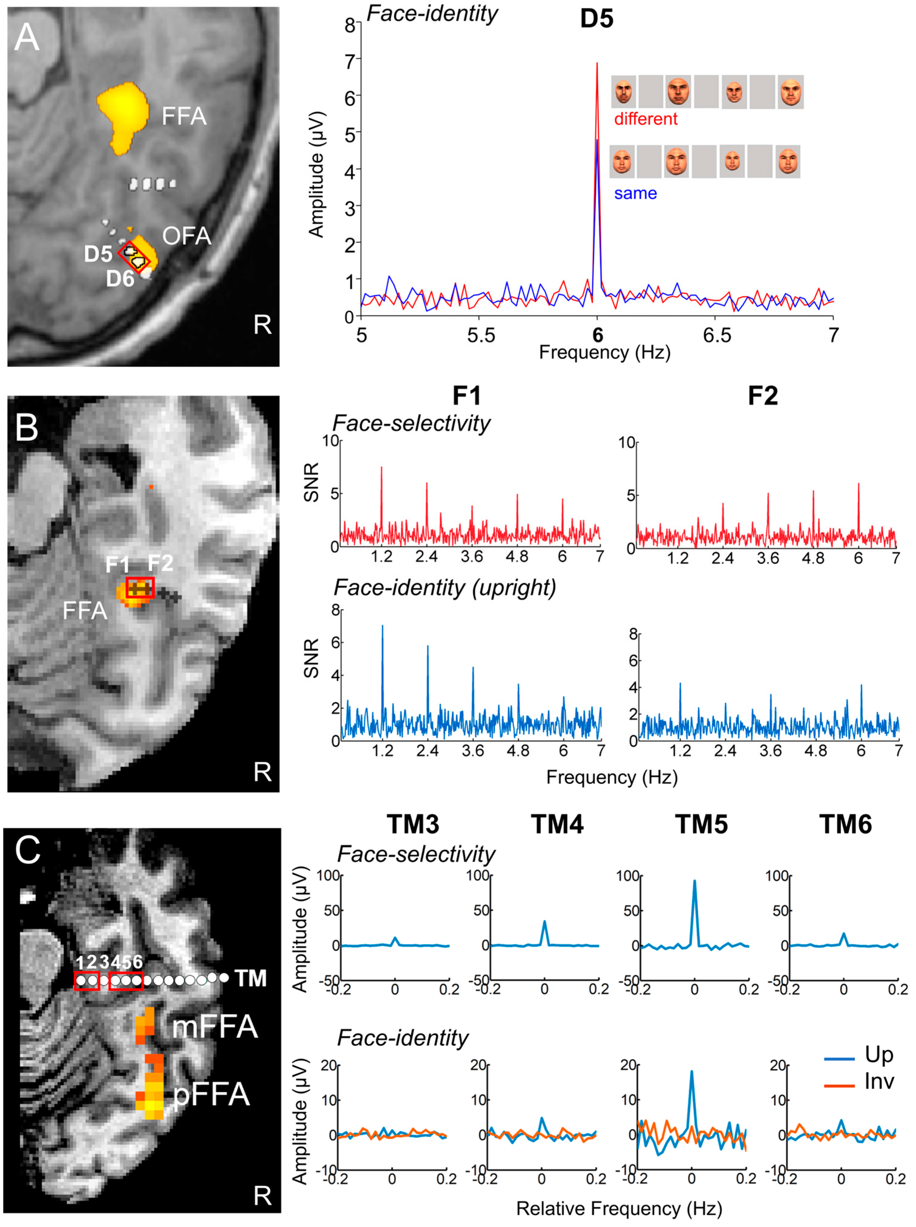 Brainsci 13 00354 g022