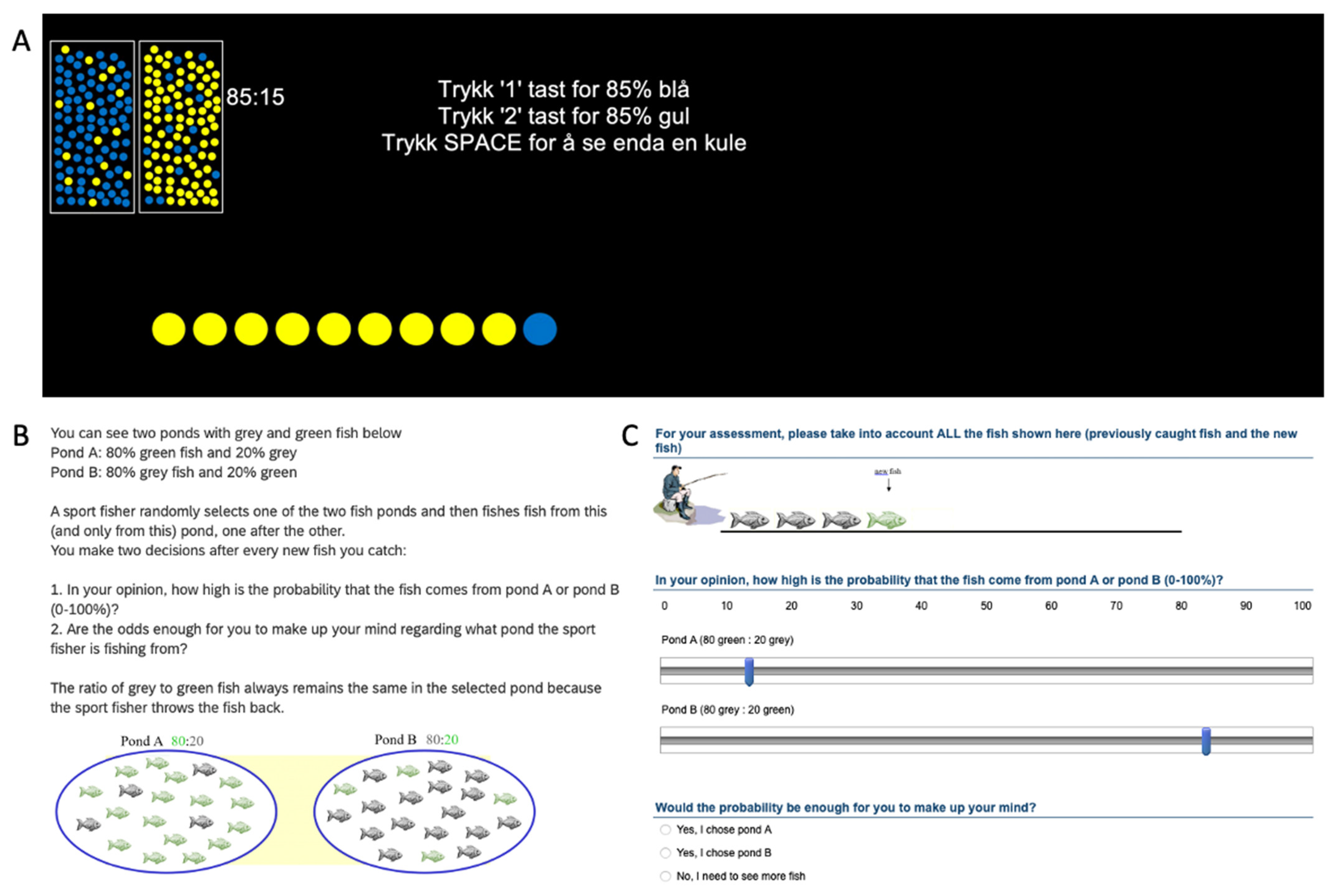 Brainsci 13 00359 g001