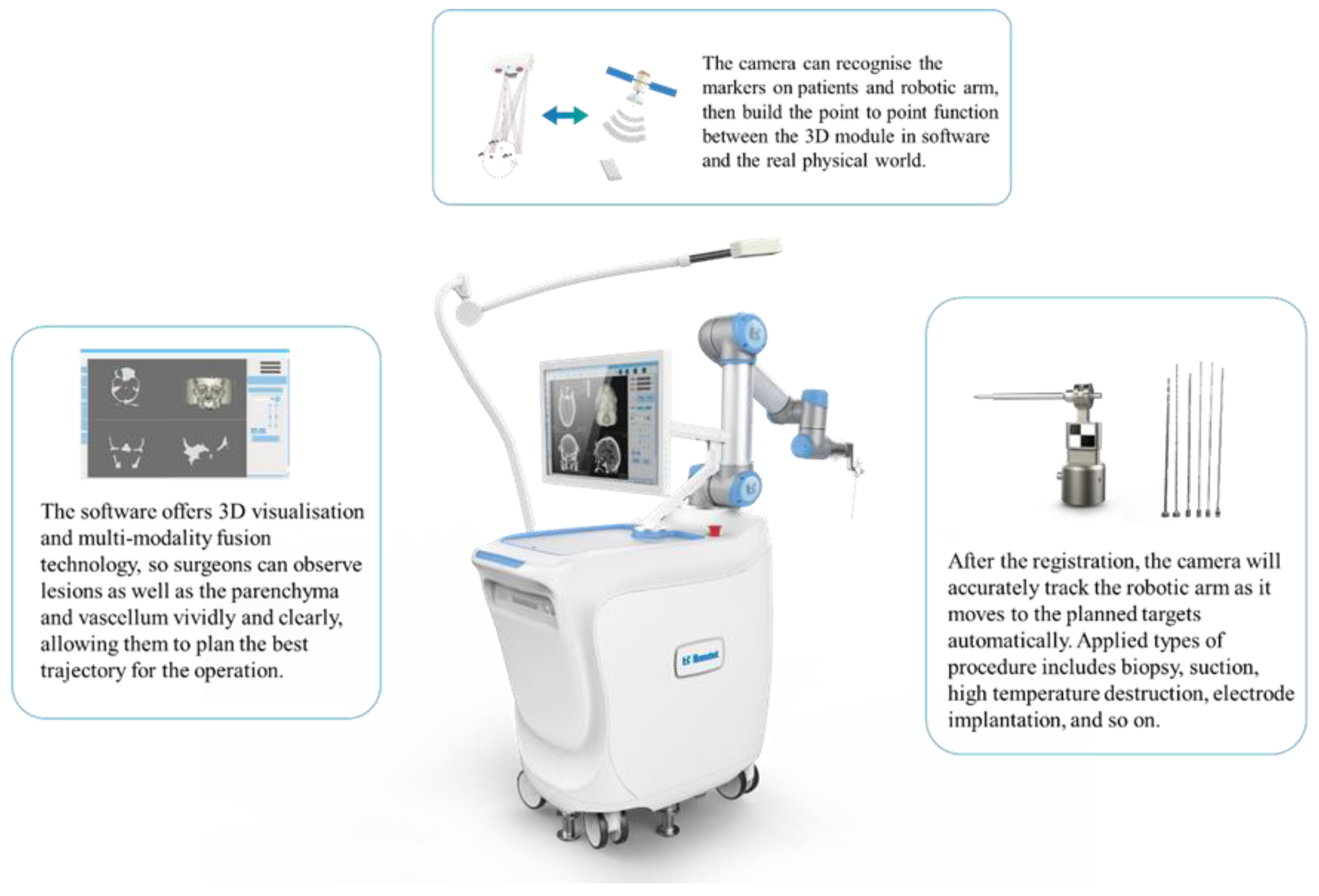 Brainsci 13 00362 g001