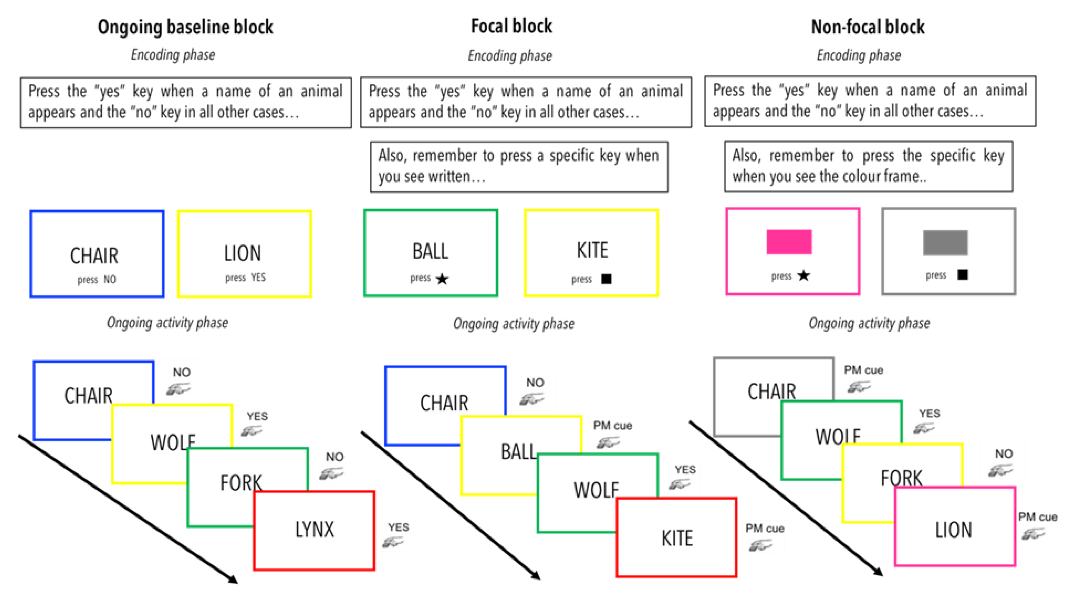 Brainsci 13 00365 g001 Brainsci 13 00365 g001