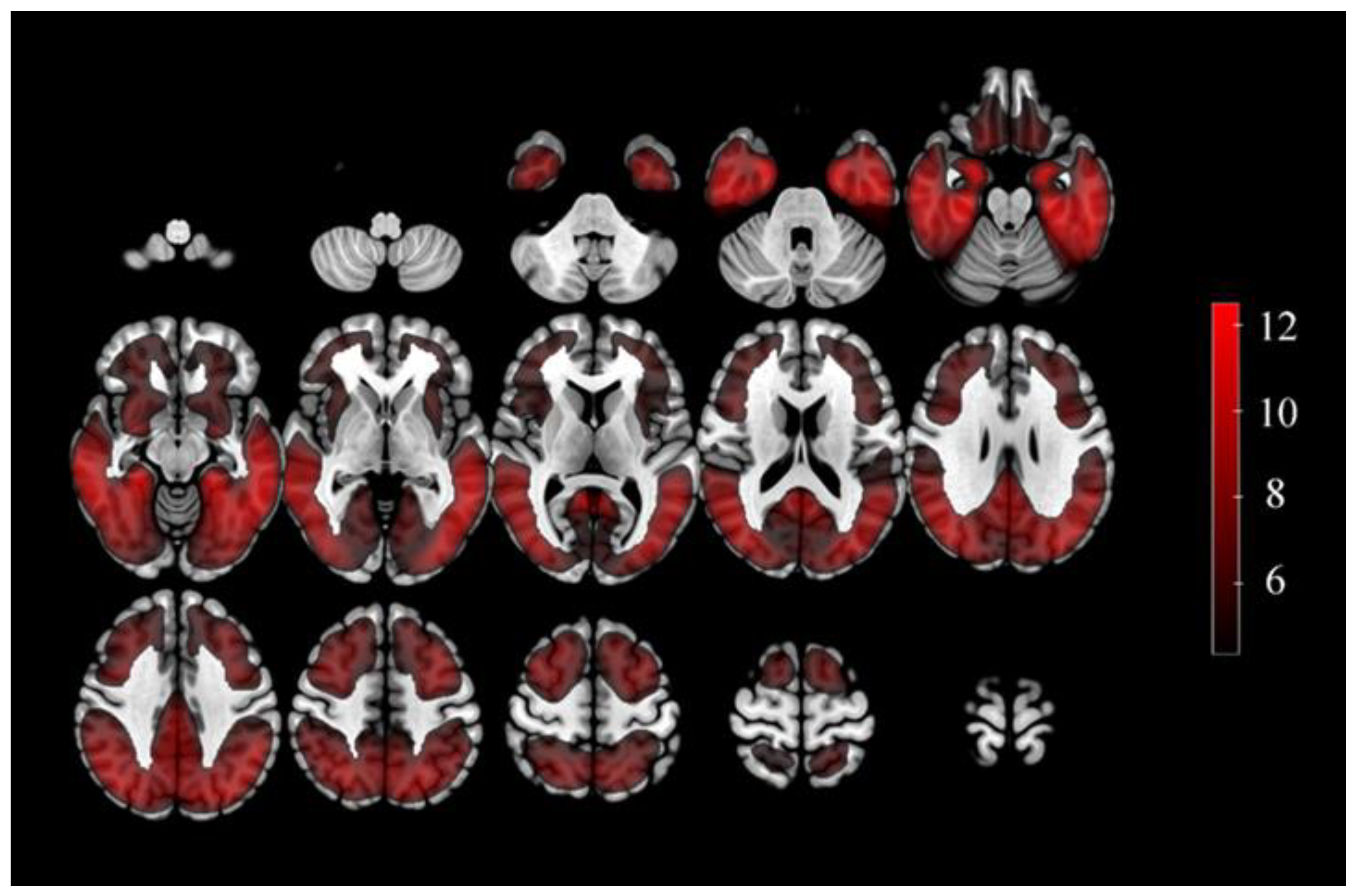 Brainsci 13 00367 g002