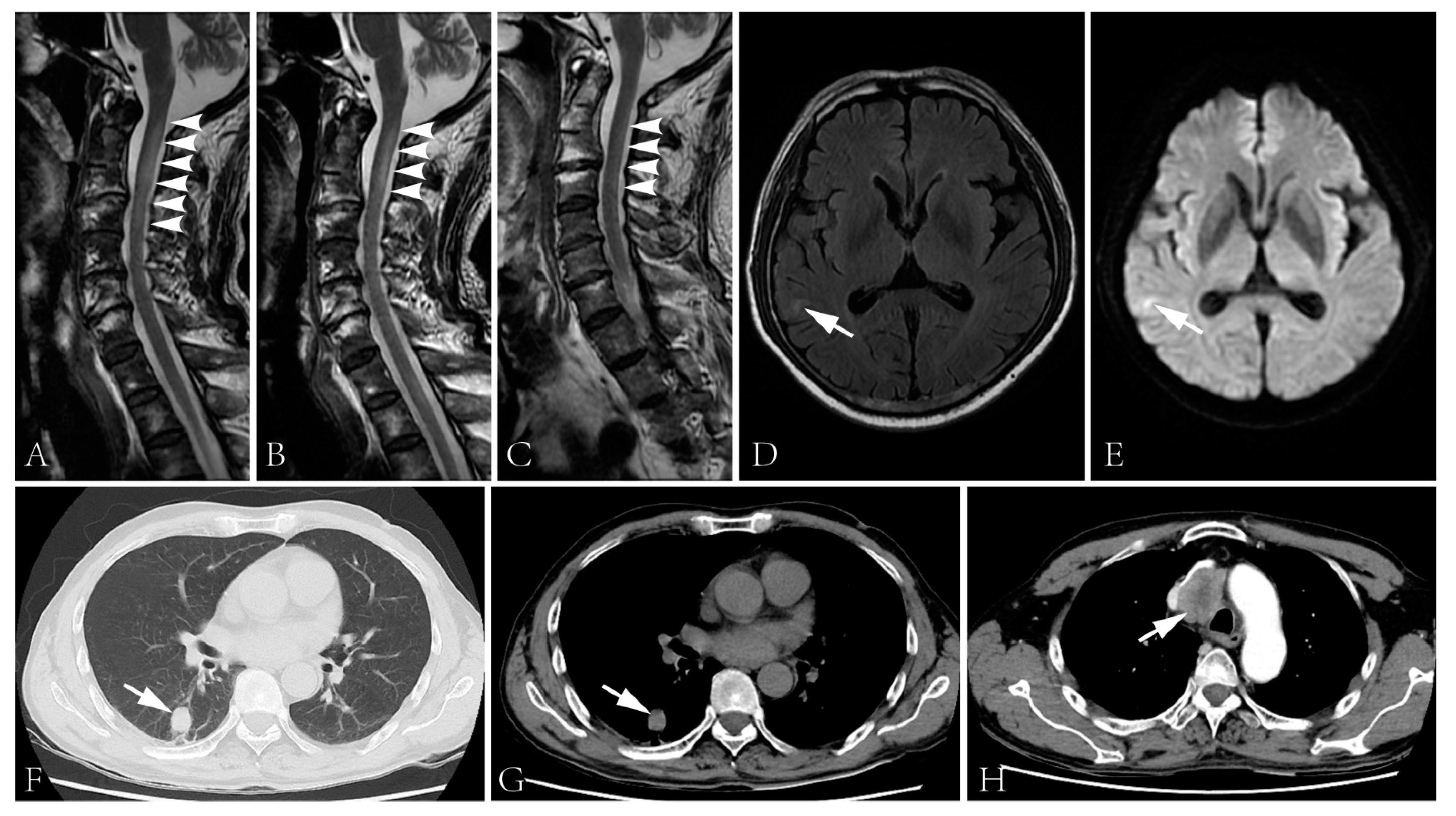 Brainsci 13 00374 g002