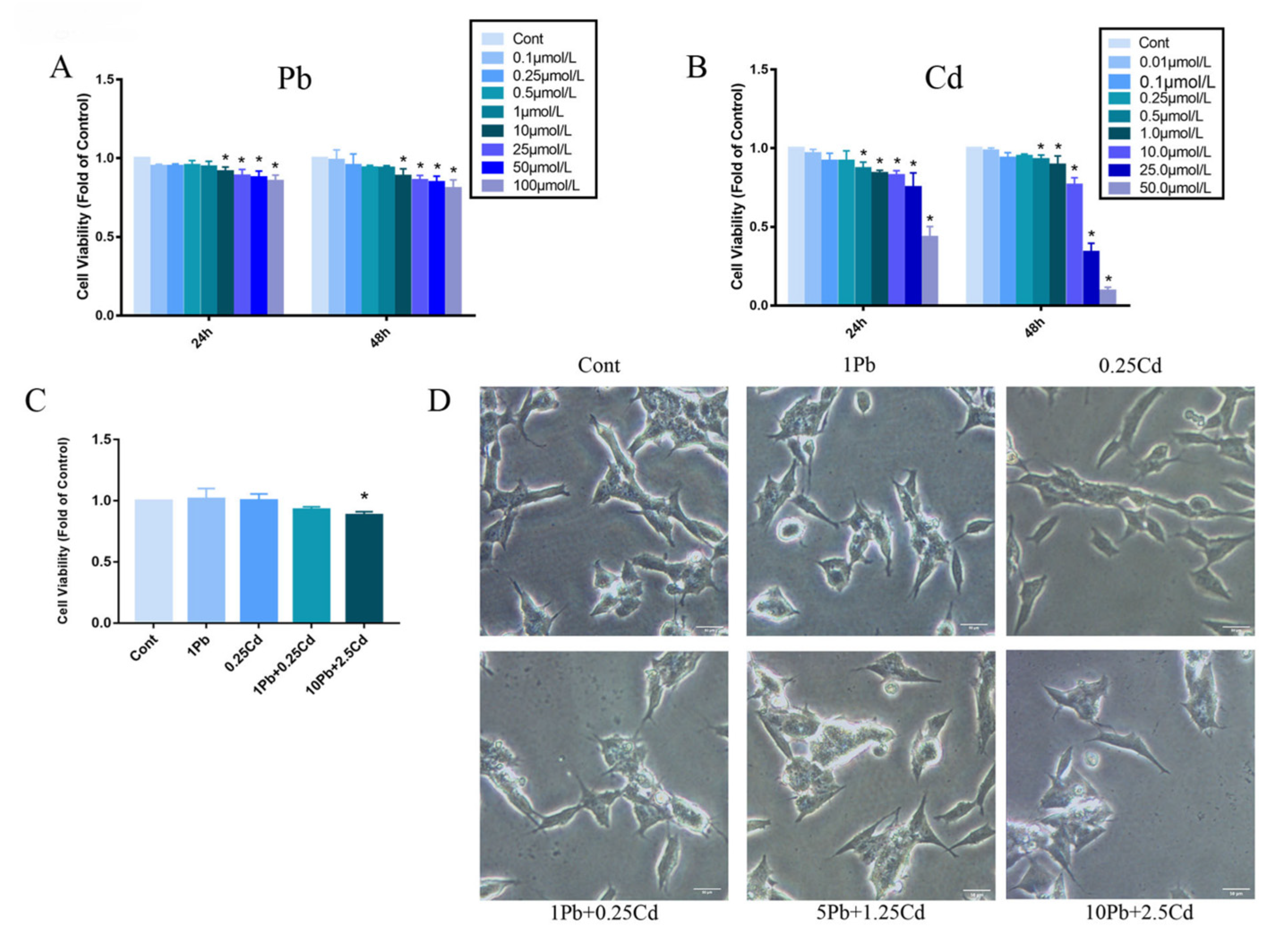 Brainsci 13 00382 g001
