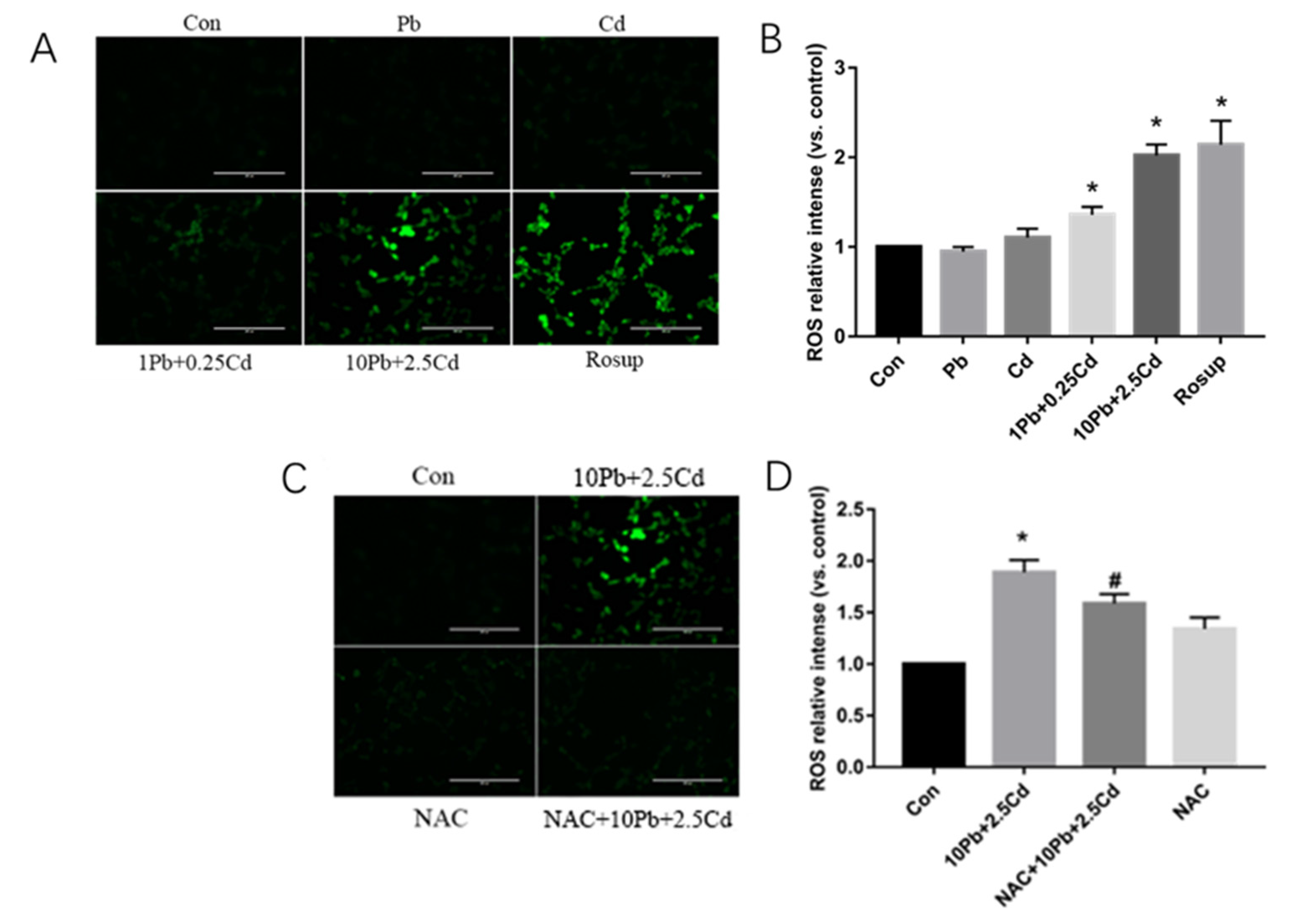 Brainsci 13 00382 g002
