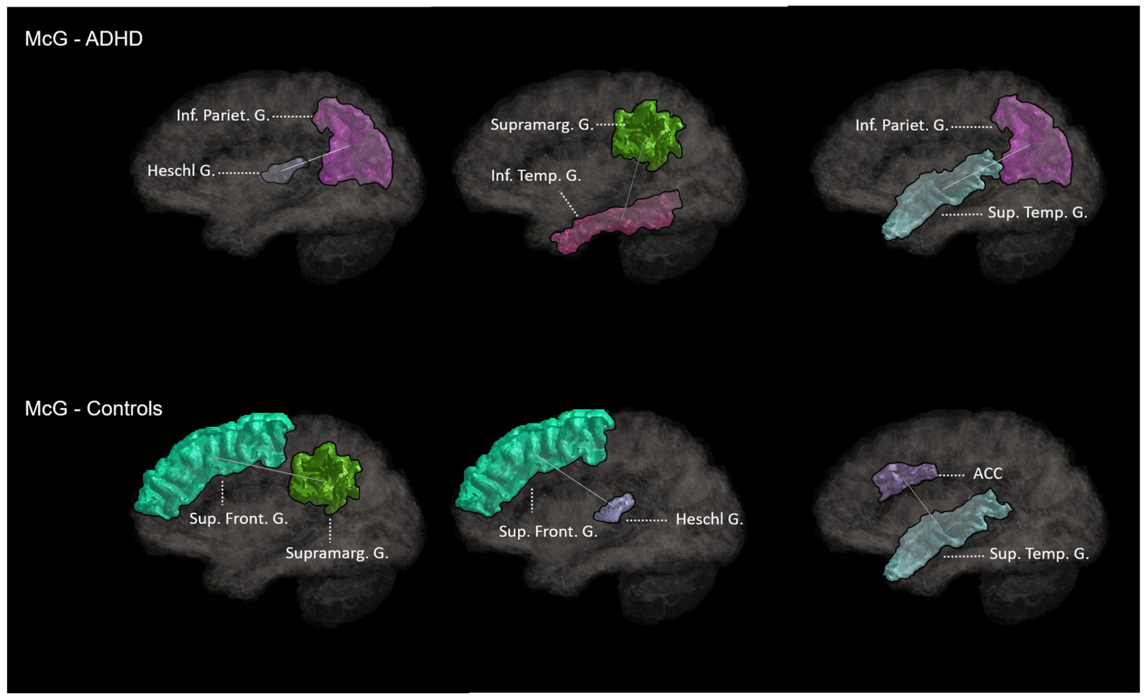 Brainsci 13 00388 g003 Brainsci 13 00388 g003