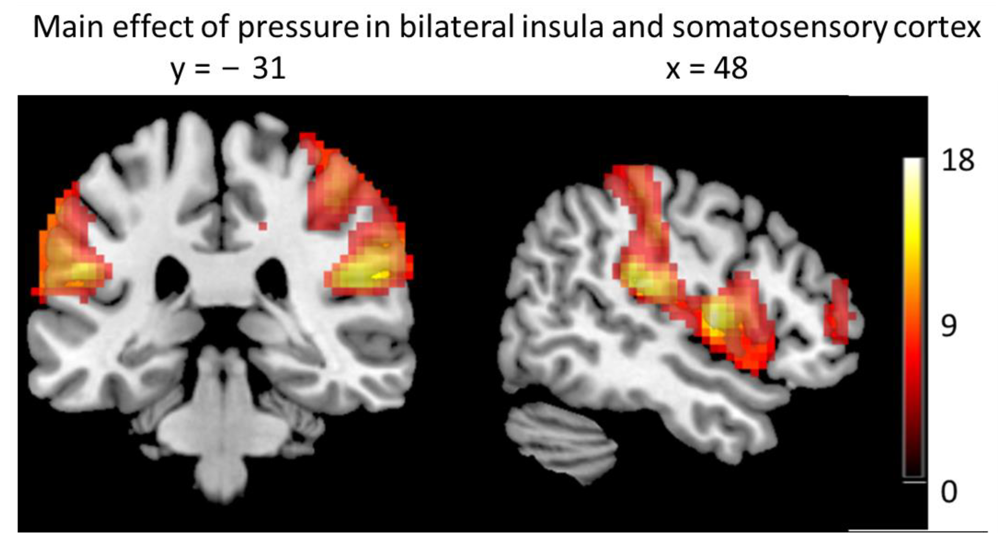 Brainsci 13 00393 g004