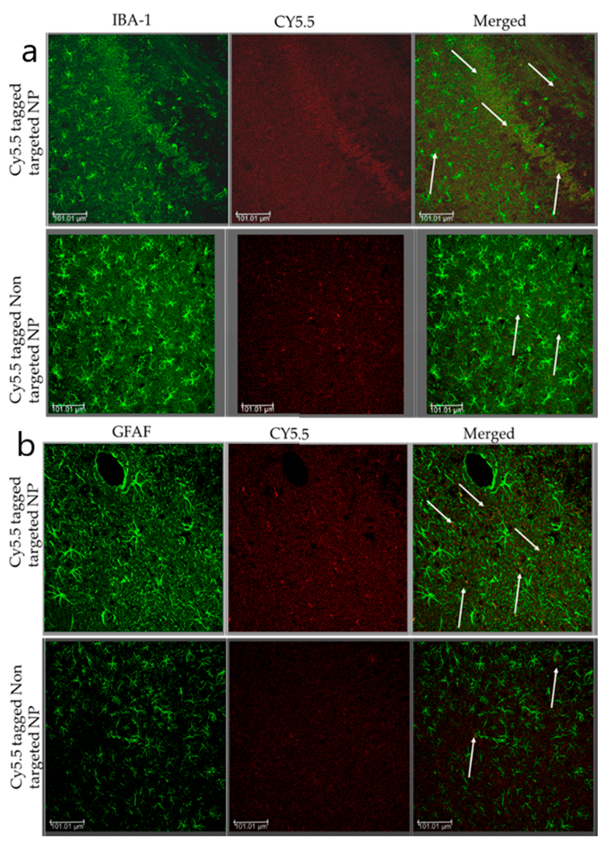 Brainsci 13 00402 g008
