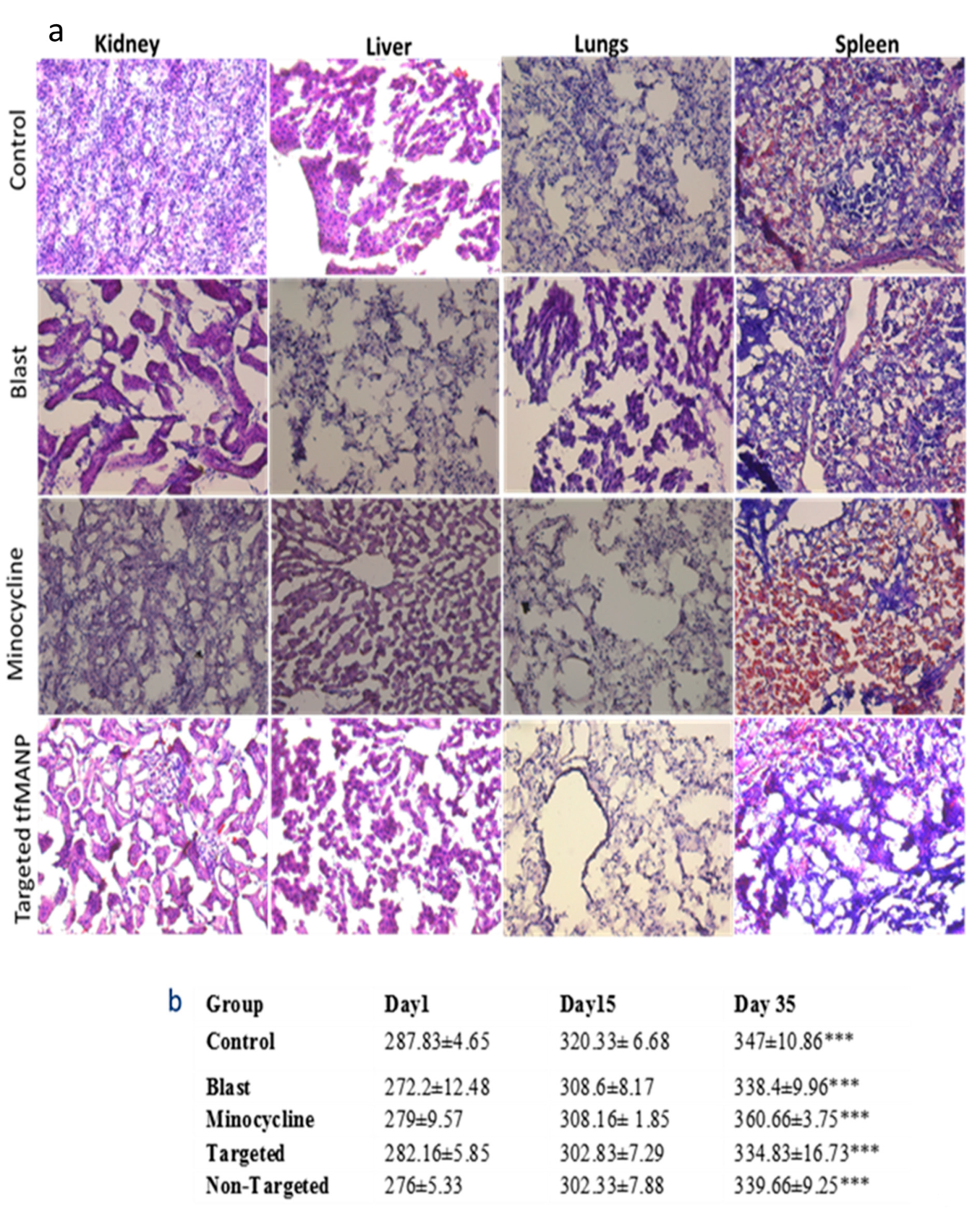 Brainsci 13 00402 g013