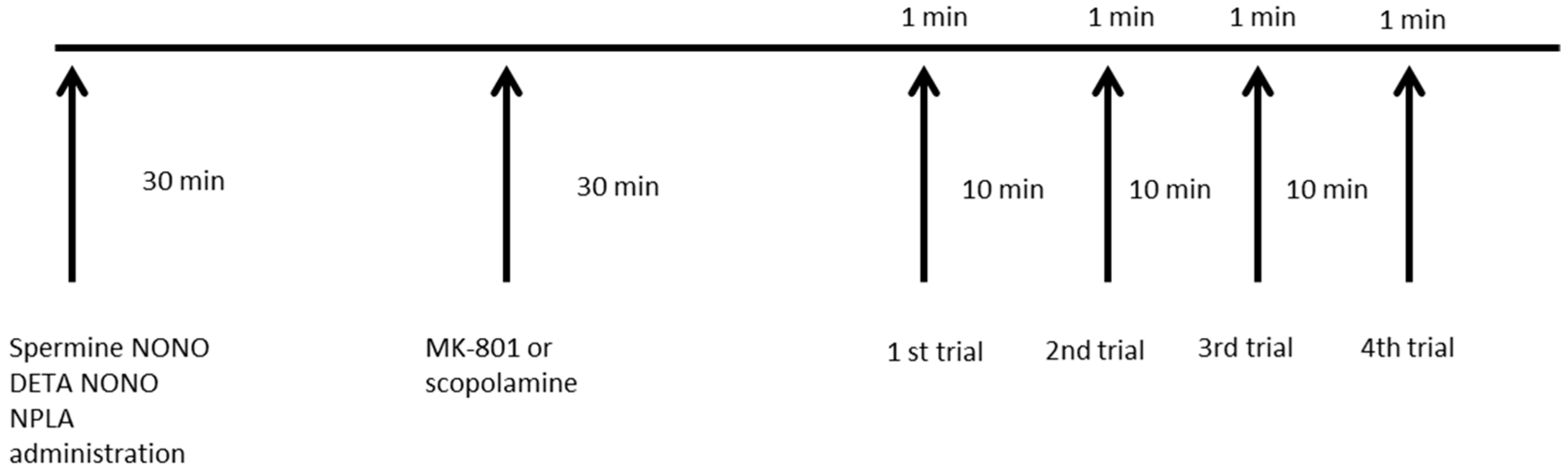 Brainsci 13 00410 g002