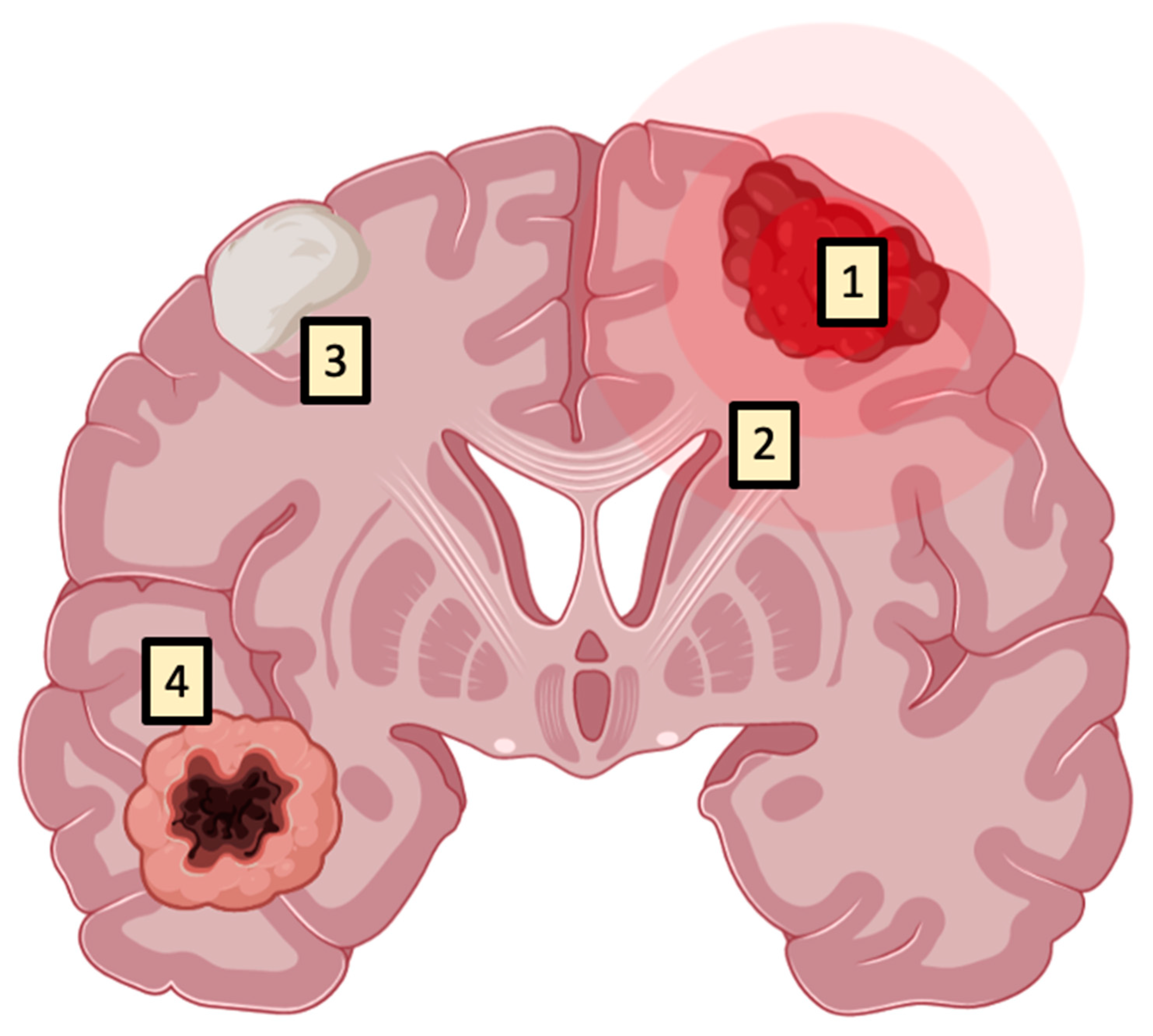 Brainsci 13 00411 g006
