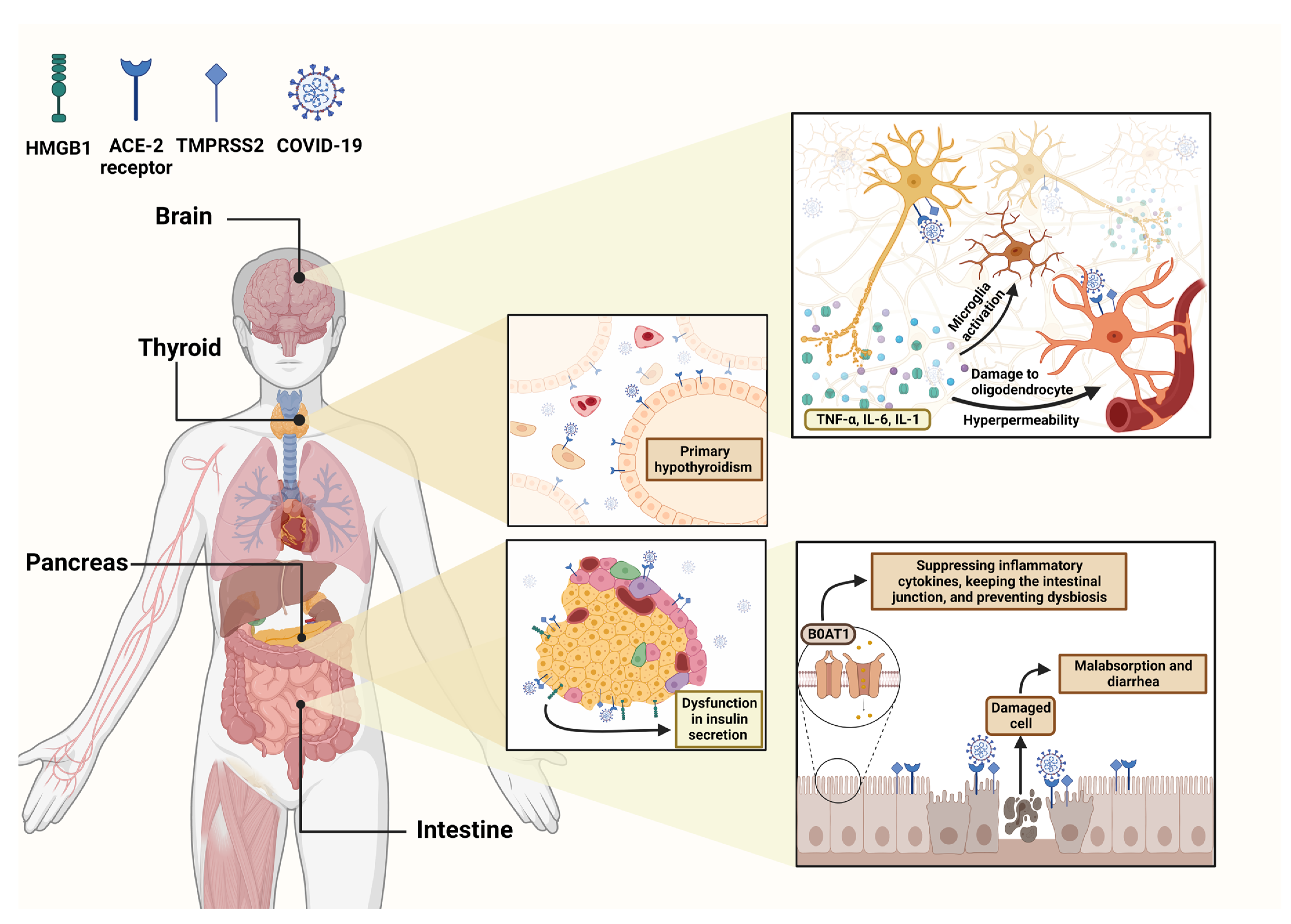 Brainsci 13 00415 g003