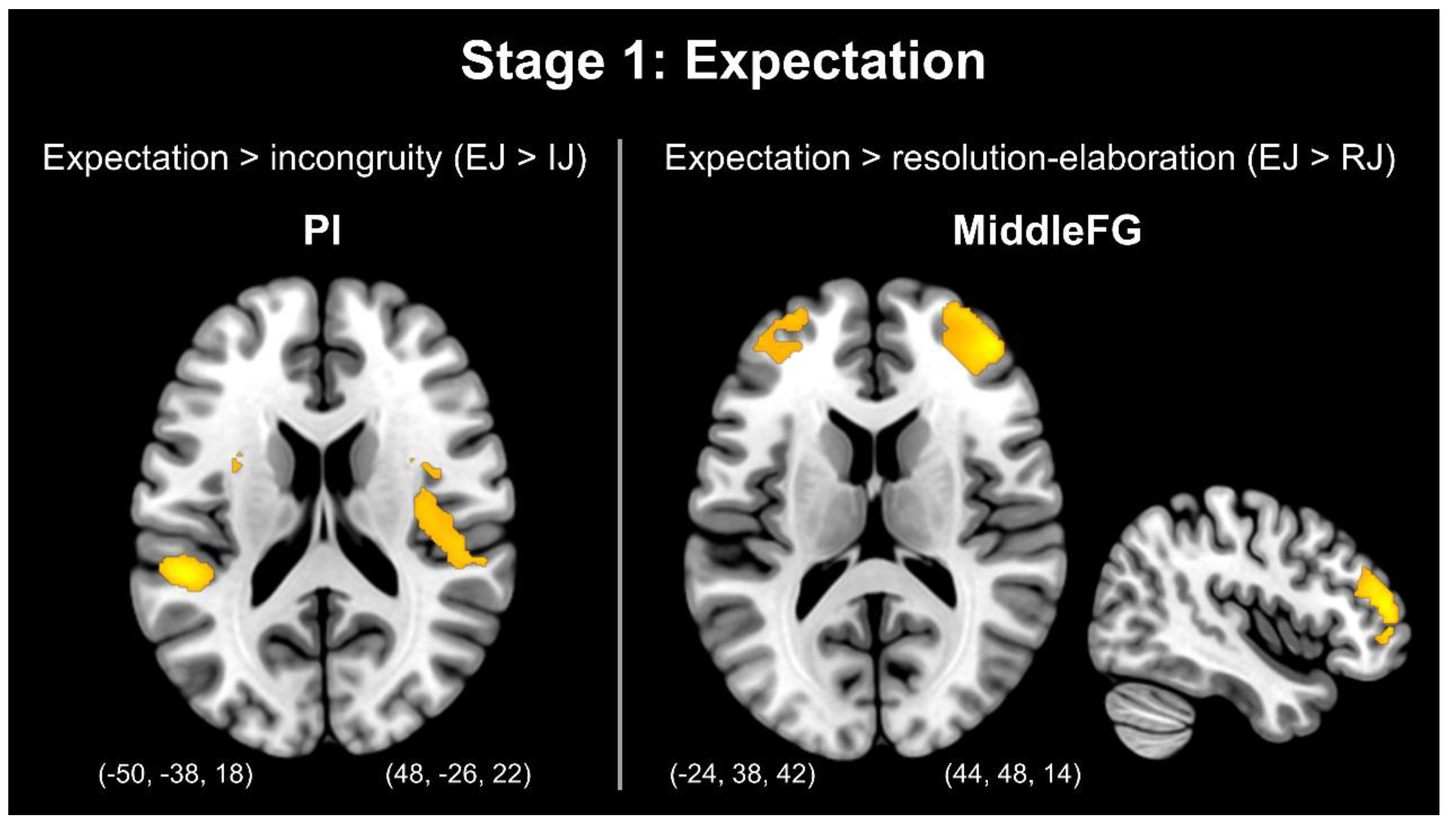 Brainsci 13 00417 g002