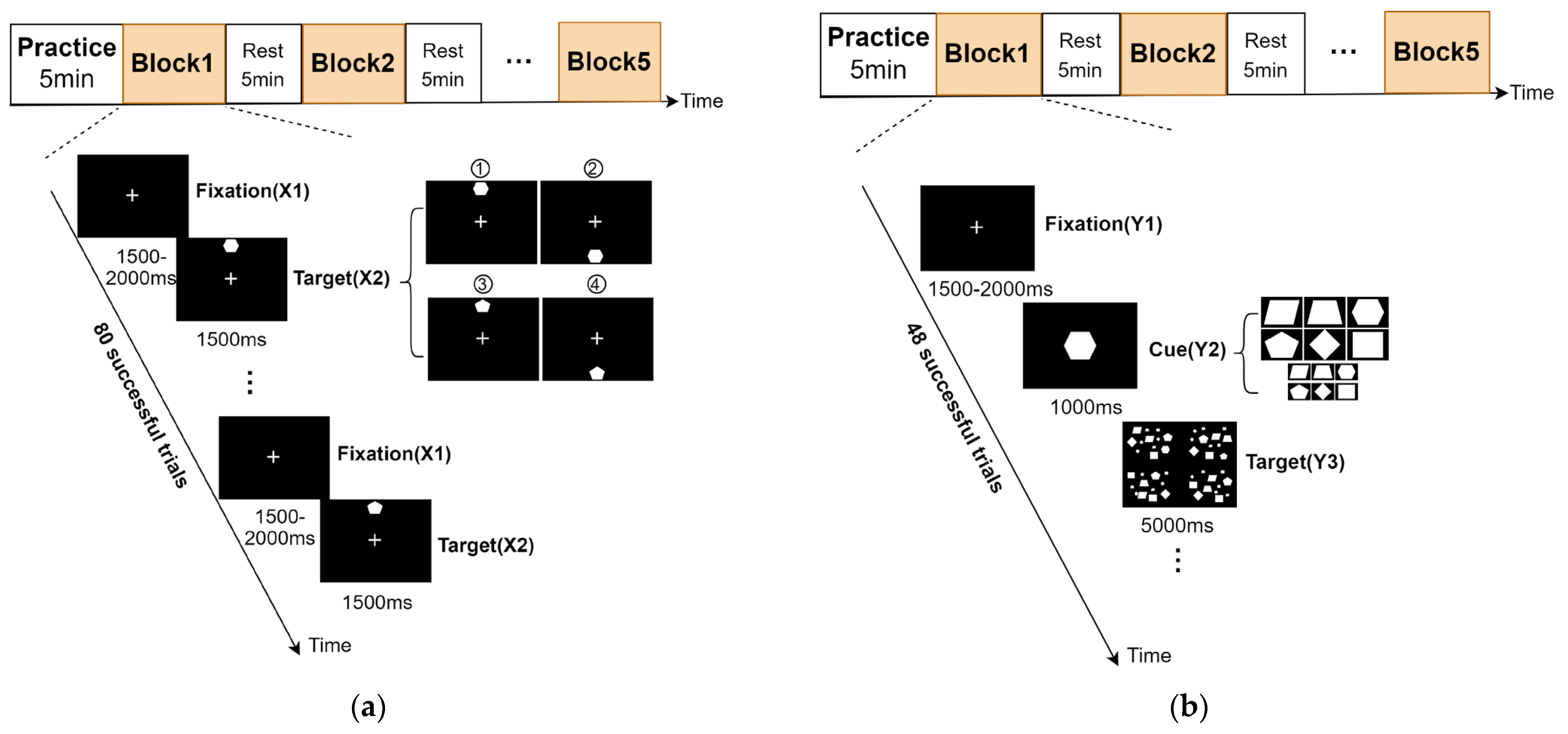 Brainsci 13 00433 g001 Brainsci 13 00433 g001