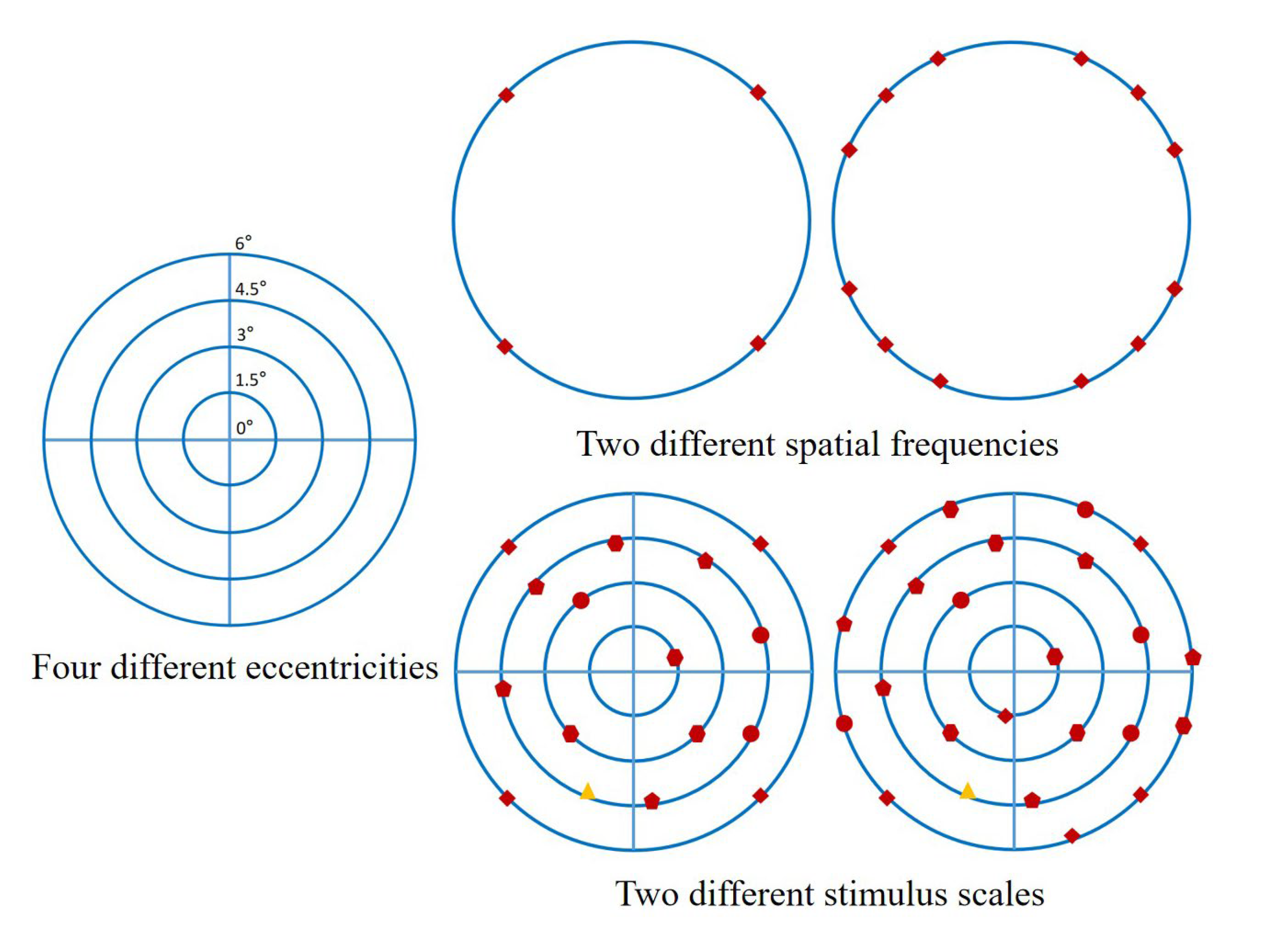 Brainsci 13 00433 g008 Brainsci 13 00433 g008