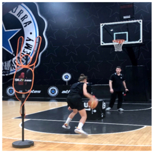 Brainsci 13 00443 g001