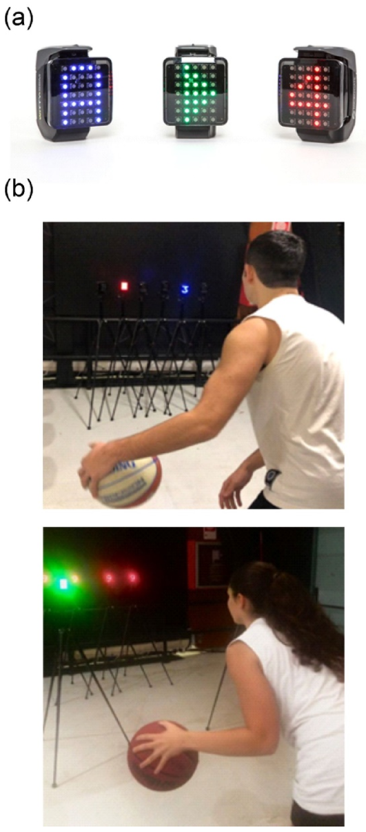 Brainsci 13 00443 g002