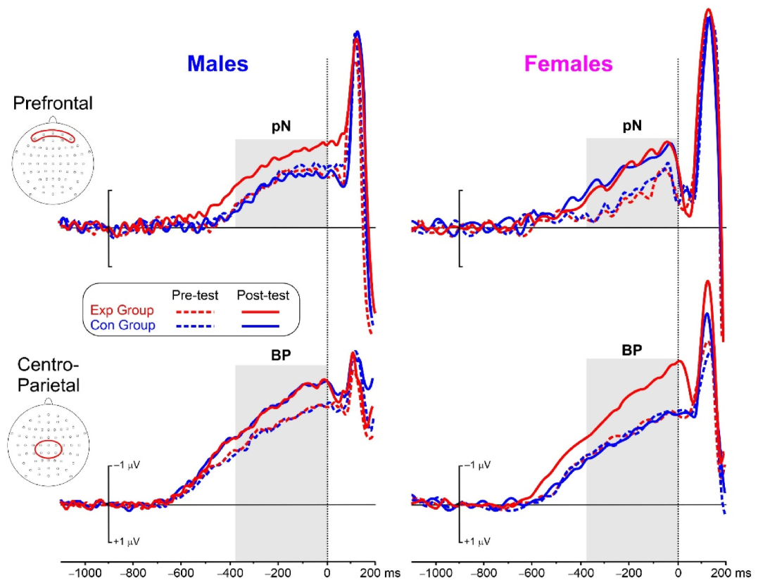 Brainsci 13 00443 g005