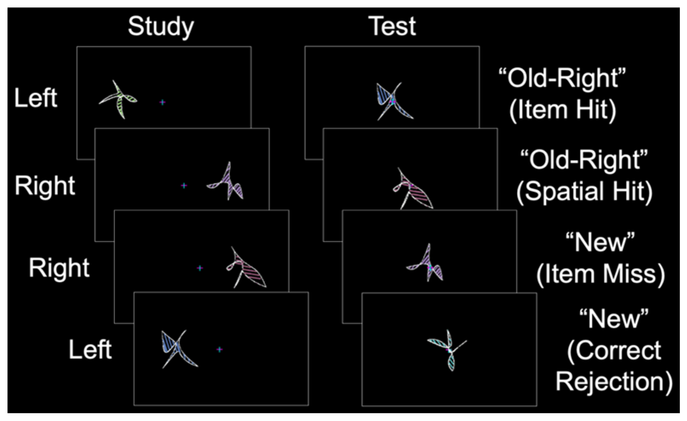 Brainsci 13 00446 g002