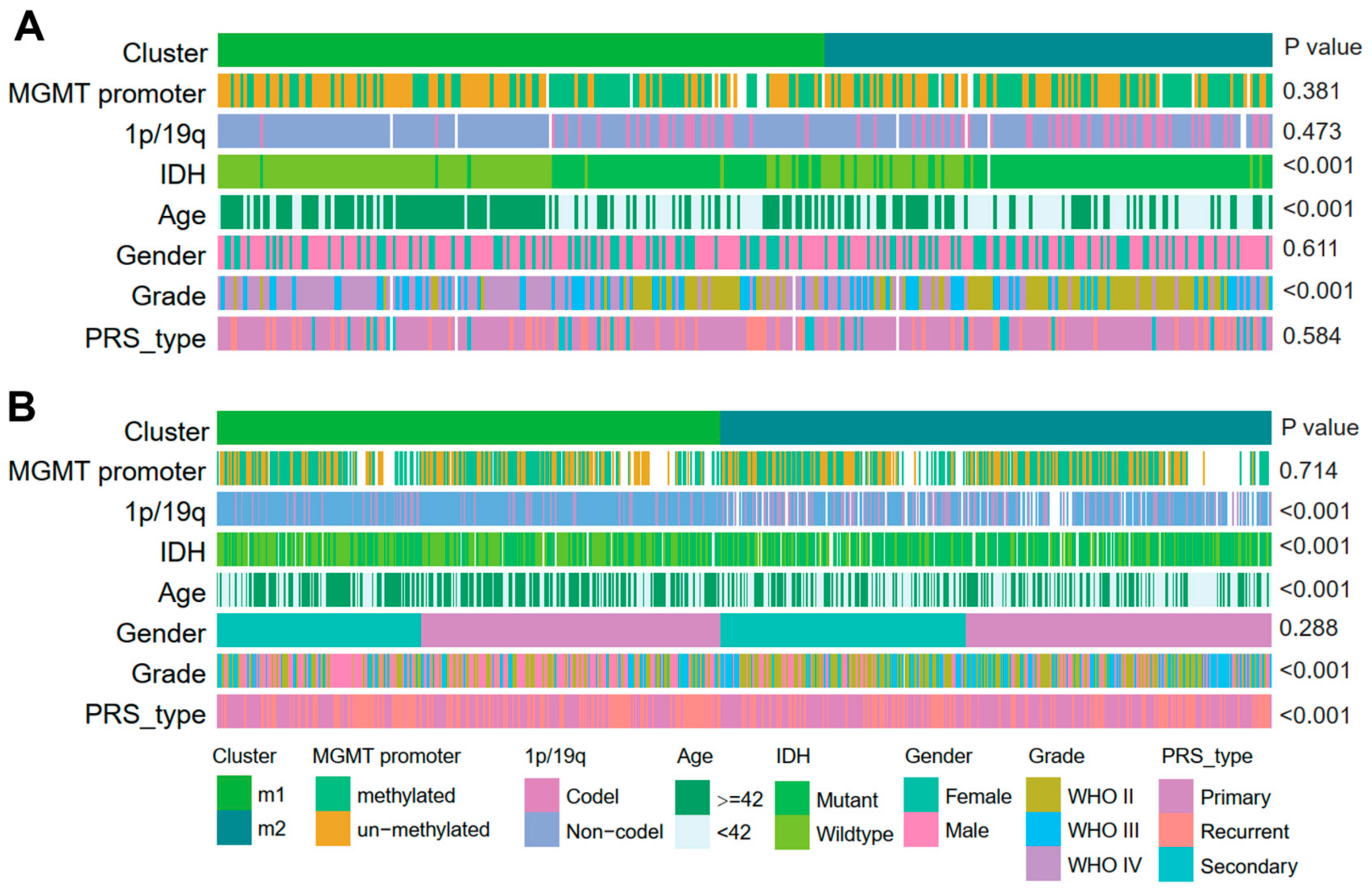 Brainsci 13 00447 g002 Brainsci 13 00447 g002
