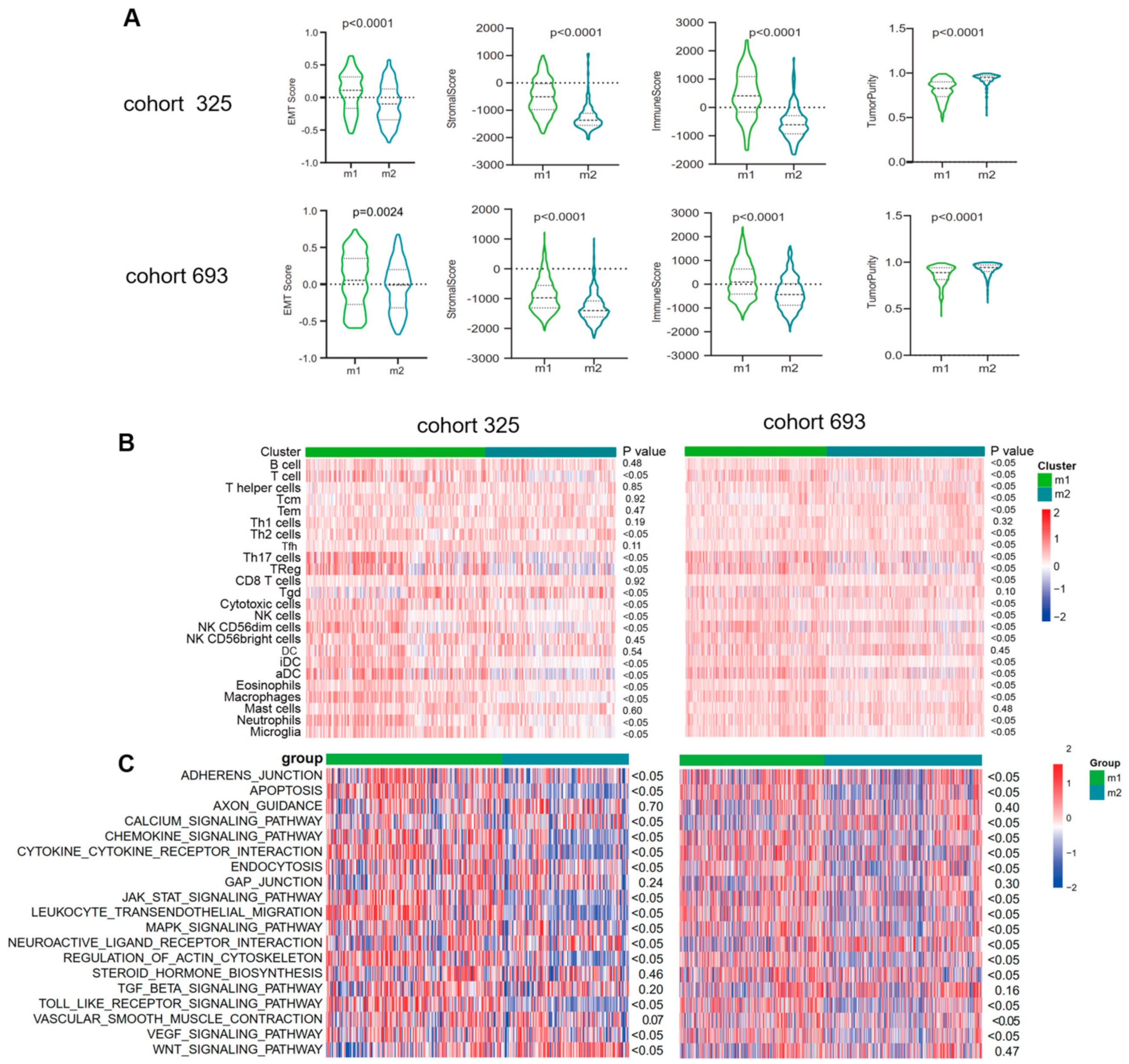 Brainsci 13 00447 g004 Brainsci 13 00447 g004