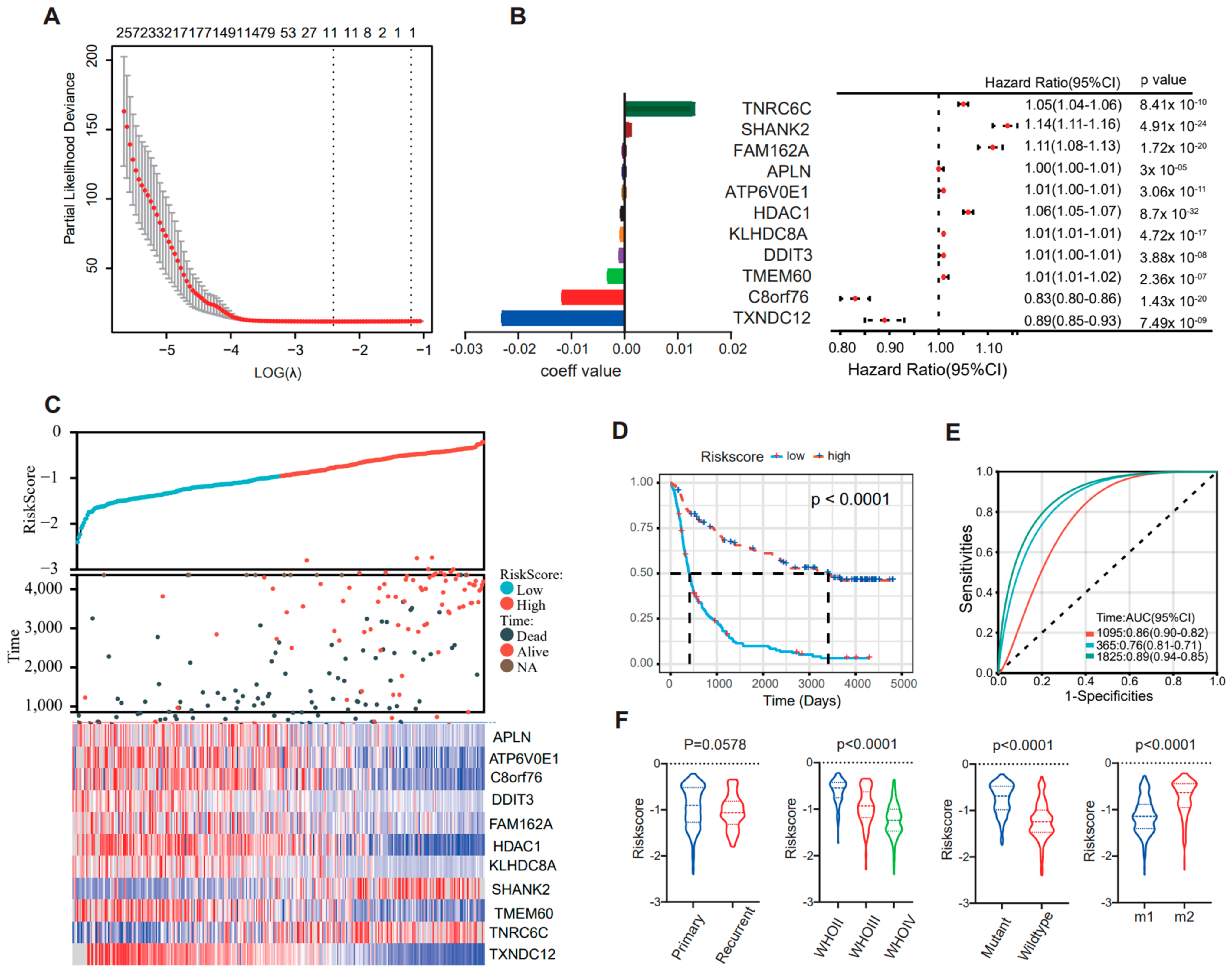 Brainsci 13 00447 g005 Brainsci 13 00447 g005