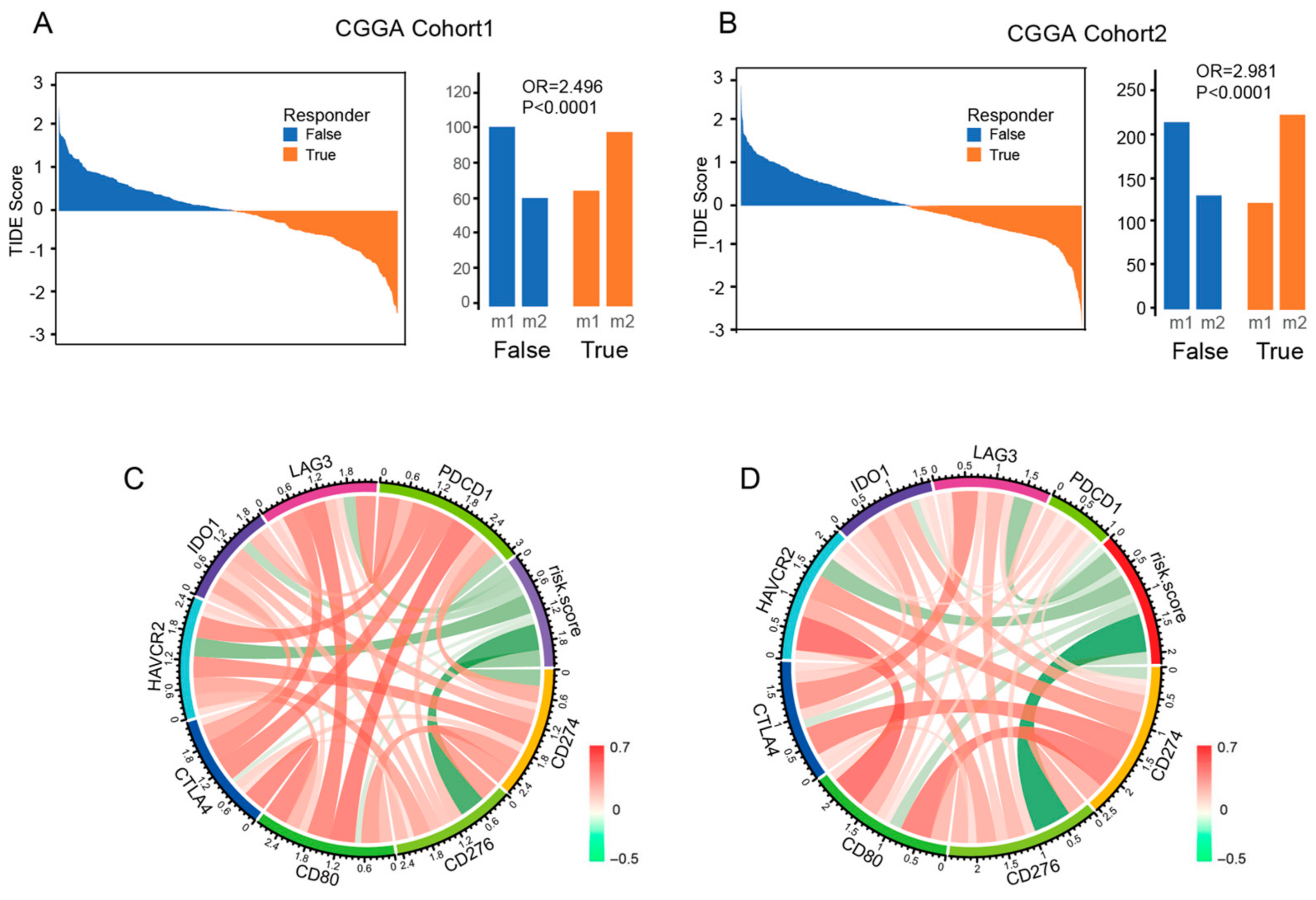 Brainsci 13 00447 g006 Brainsci 13 00447 g006