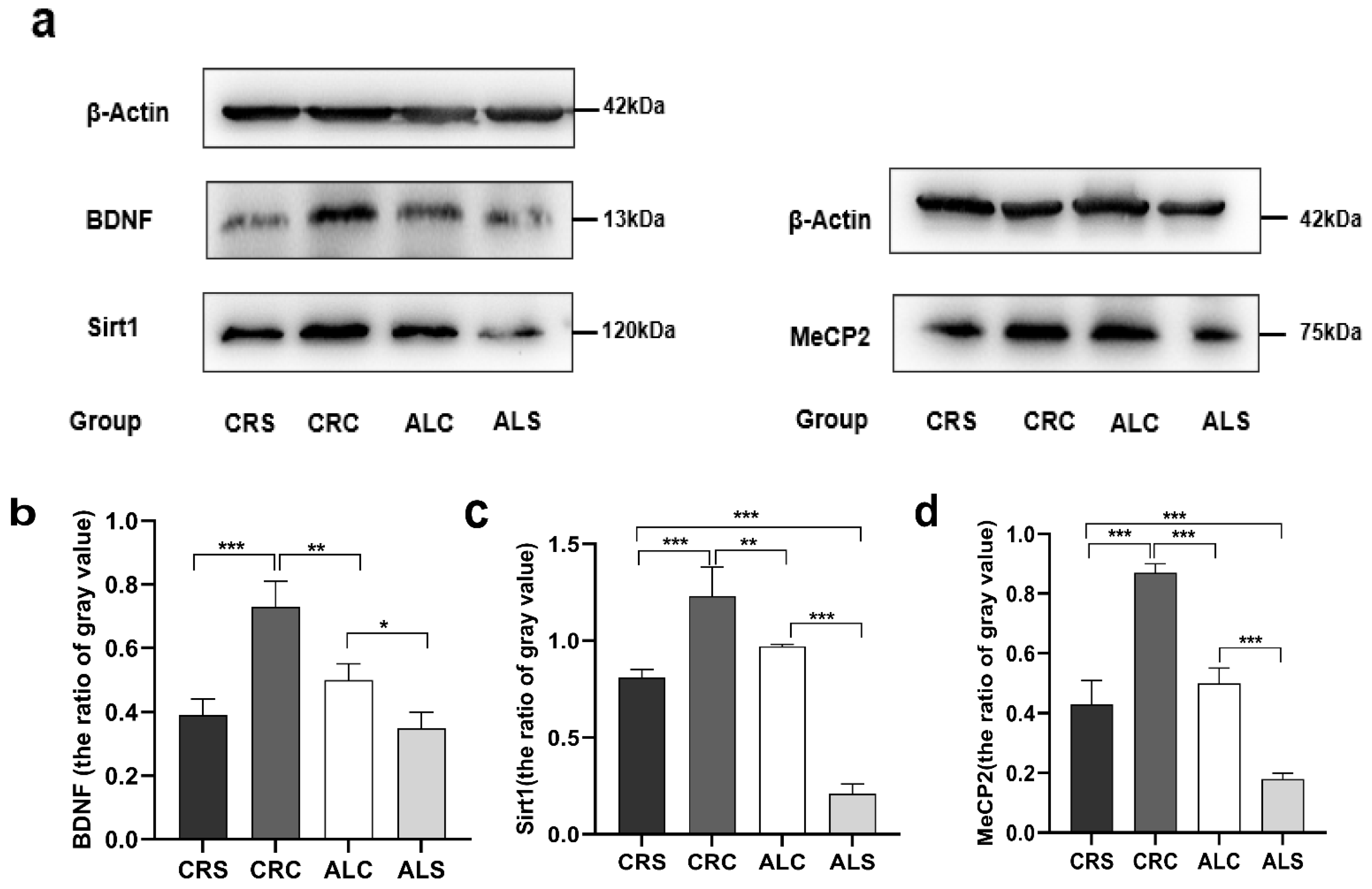Brainsci 13 00462 g003
