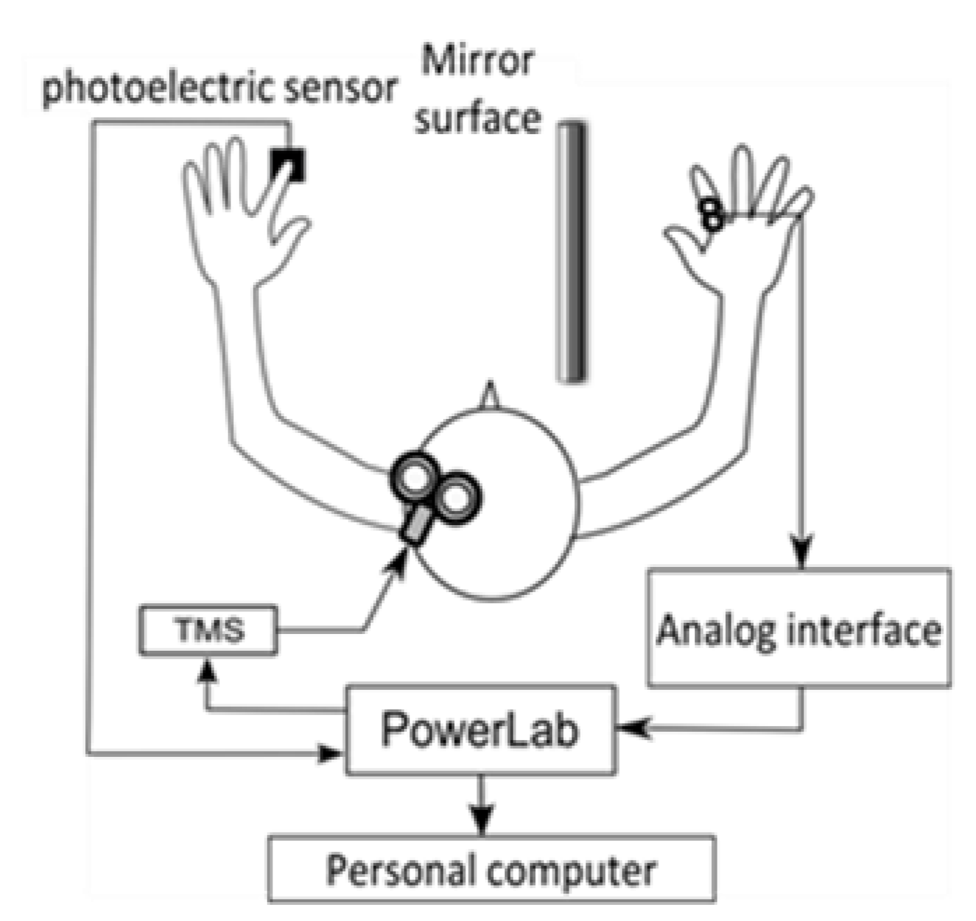 Brainsci 13 00463 g001