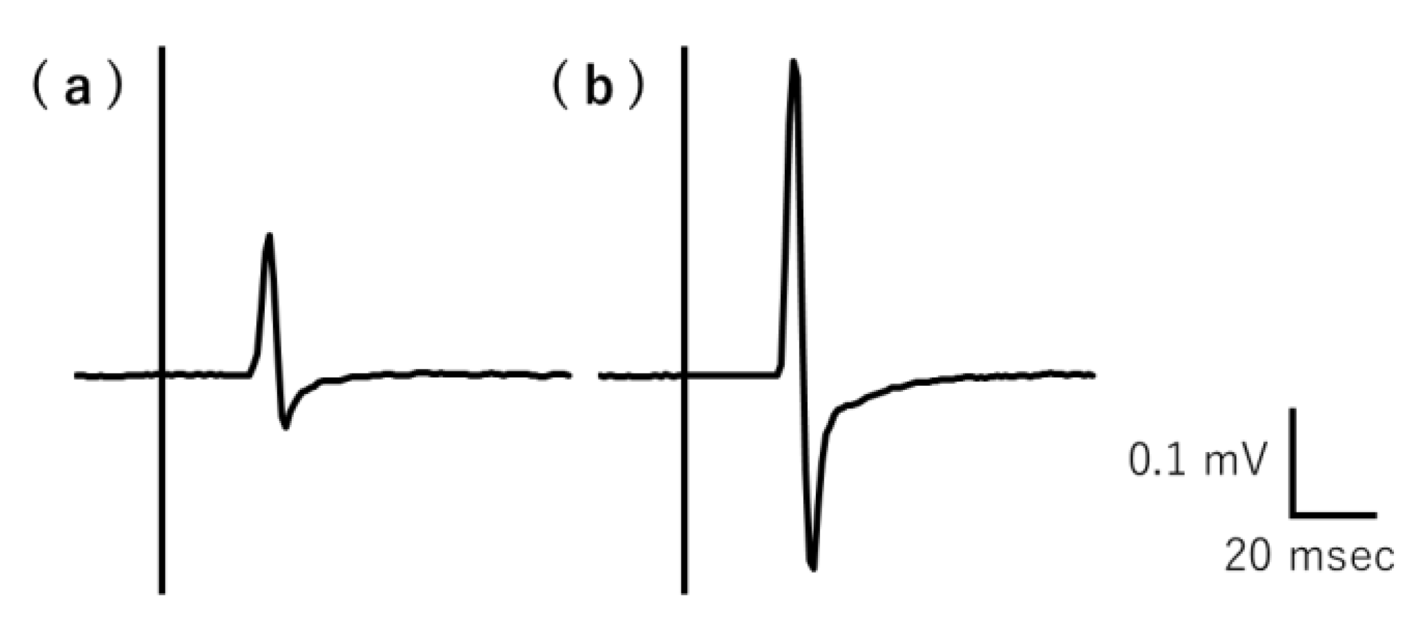 Brainsci 13 00463 g002