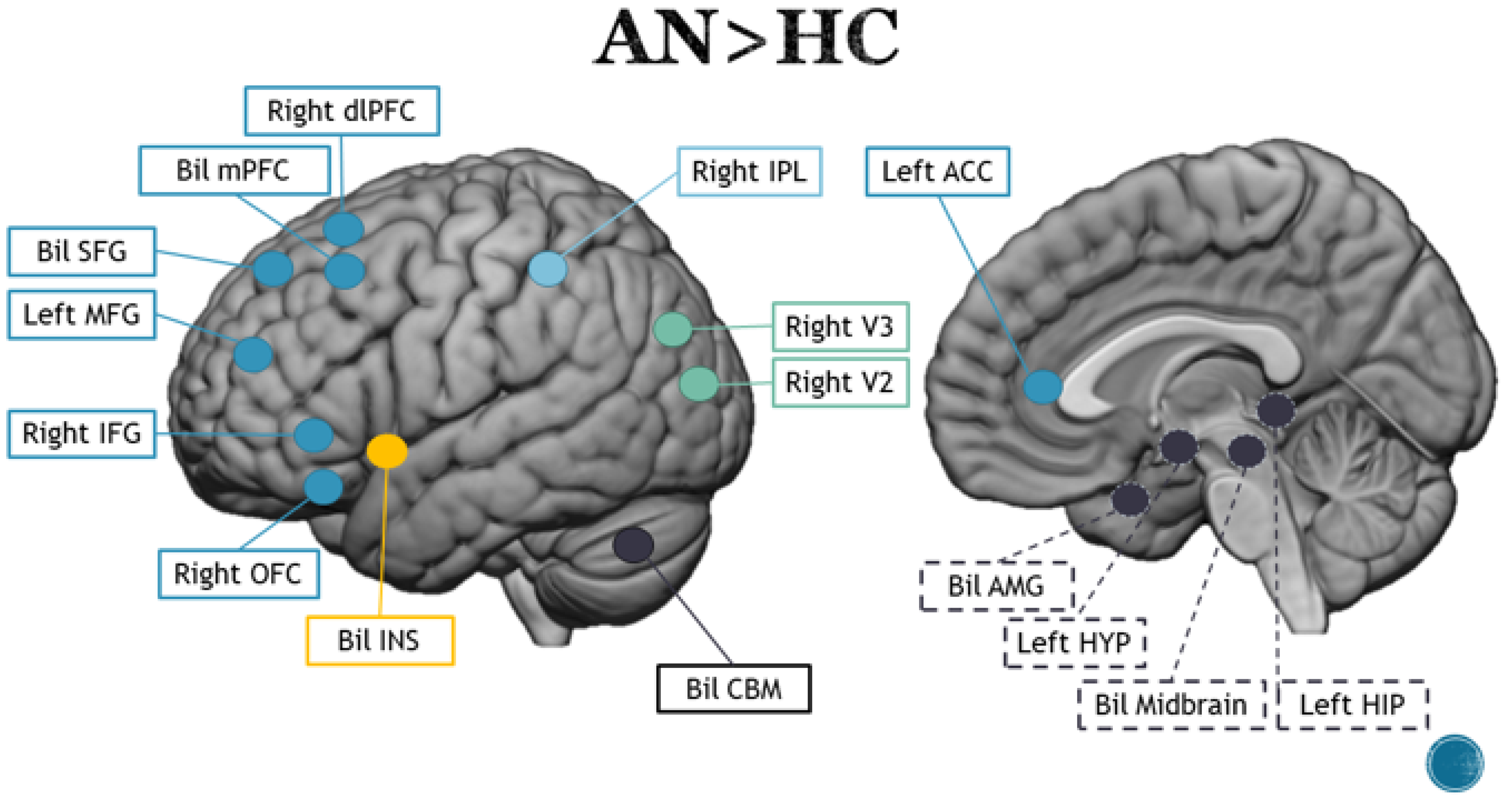 Brainsci 13 00465 g002
