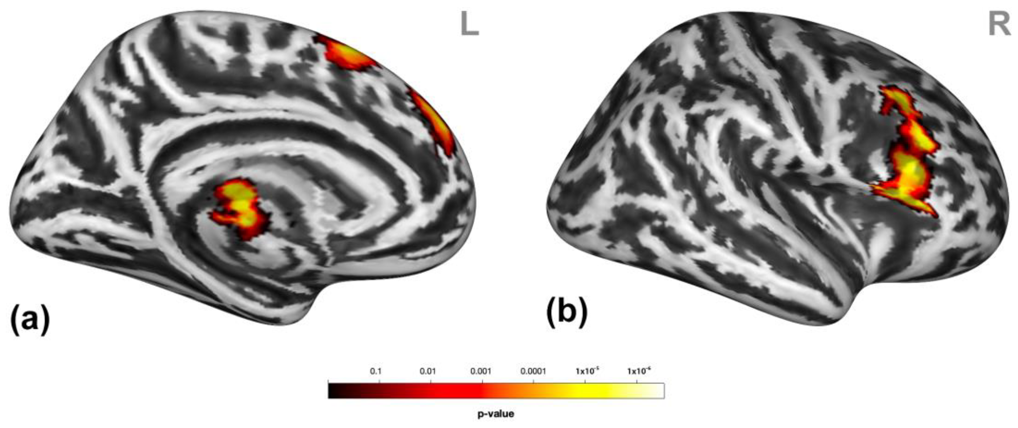 Brainsci 13 00474 g003