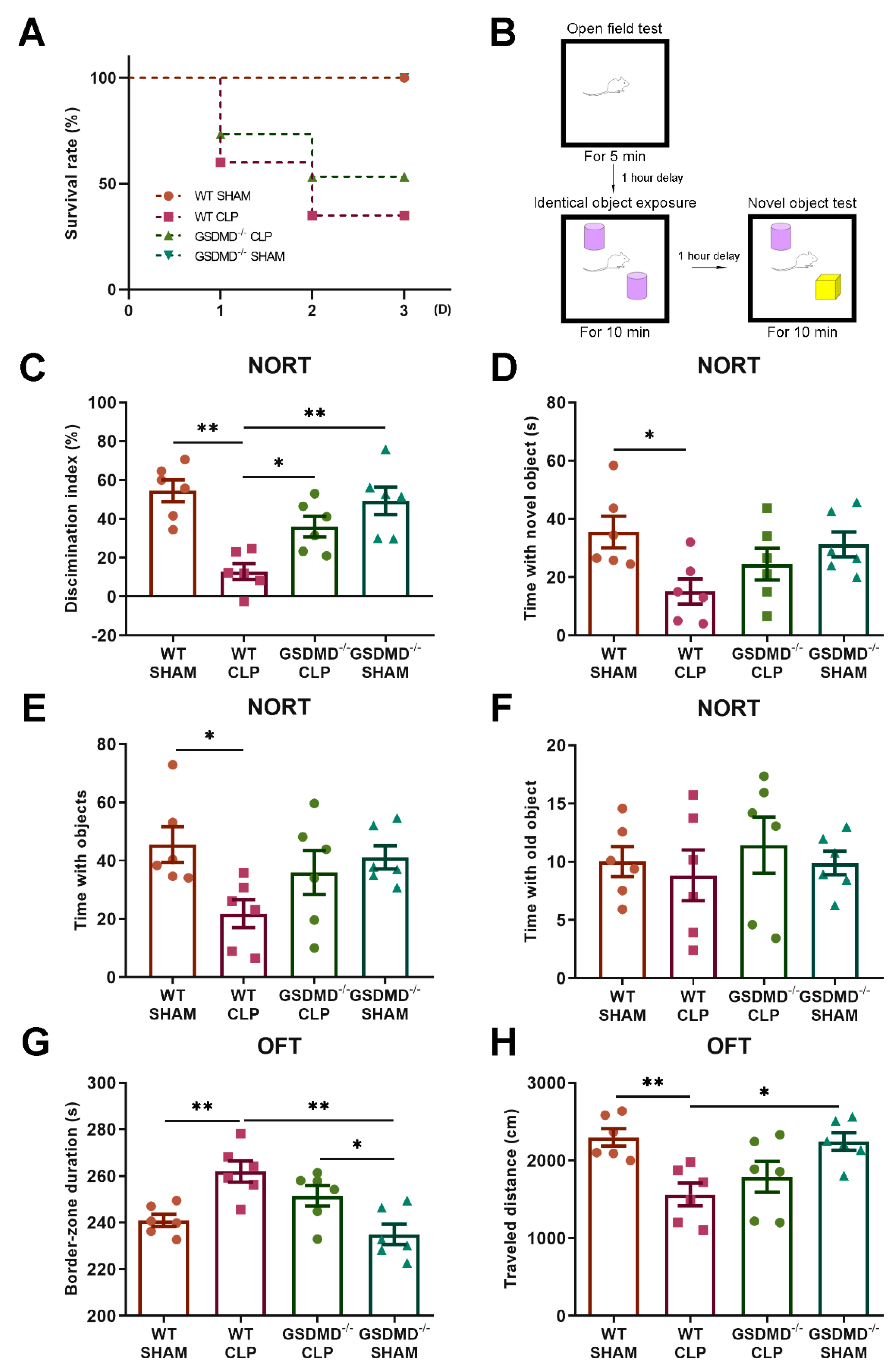 Brainsci 13 00478 g001