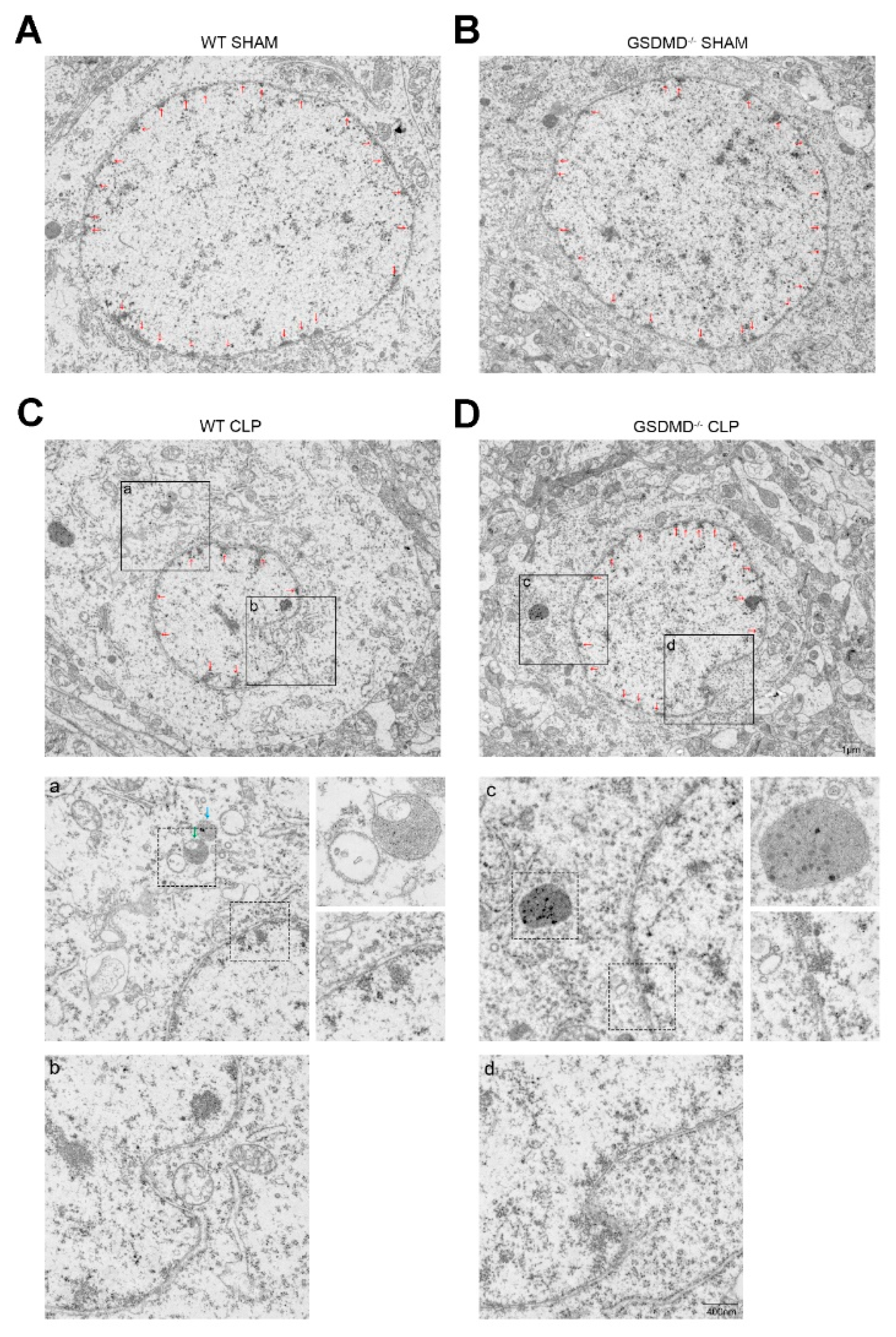Brainsci 13 00478 g002