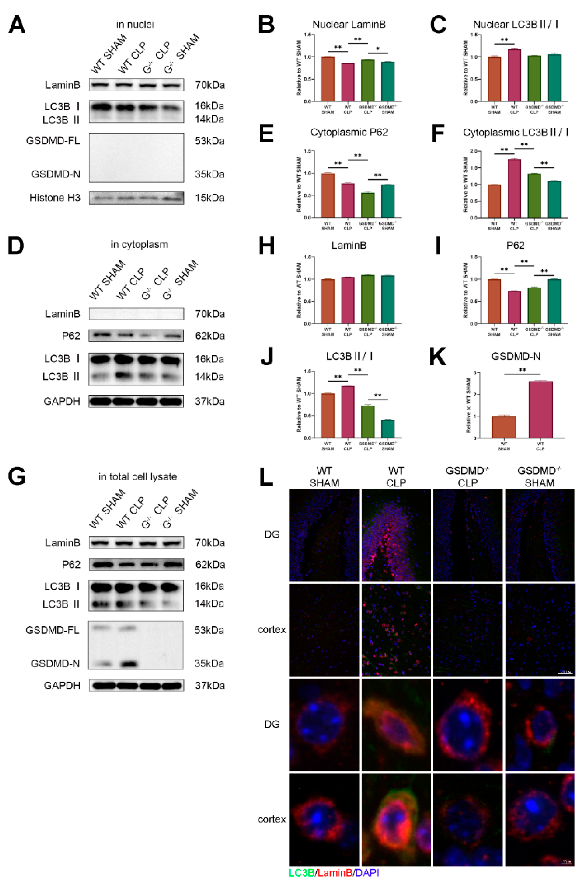 Brainsci 13 00478 g004