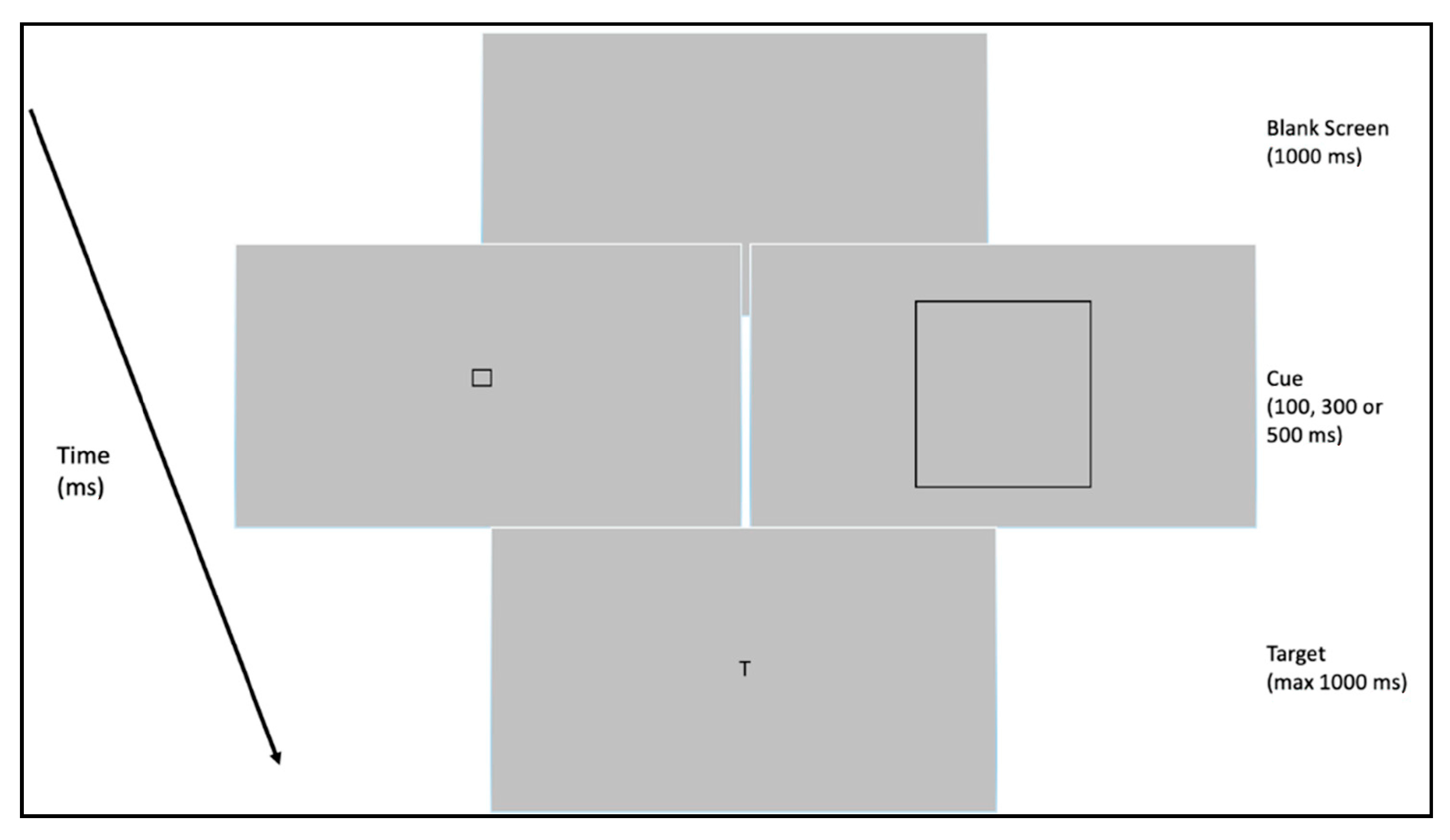 Brainsci 13 00491 g005