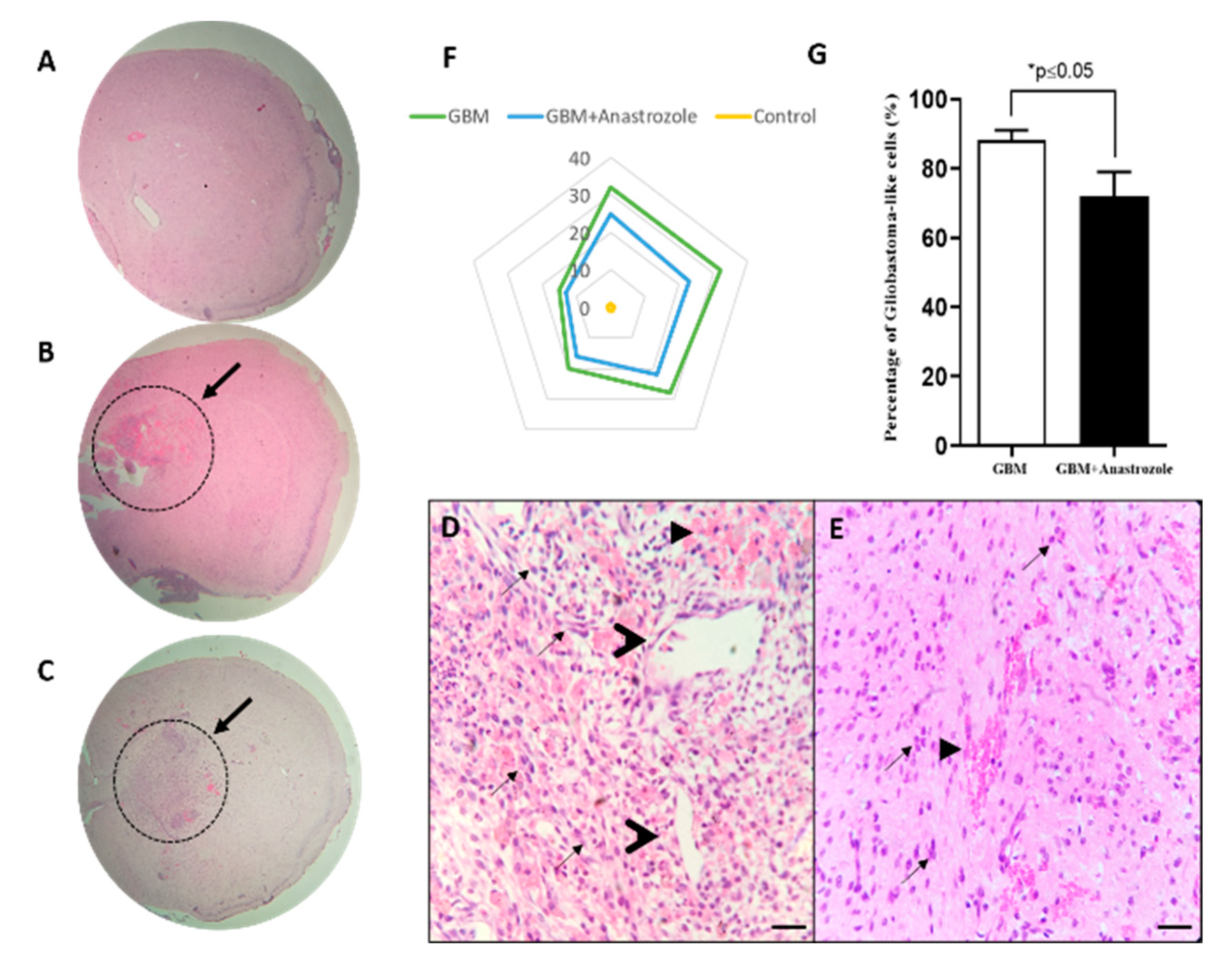 Brainsci 13 00496 g002