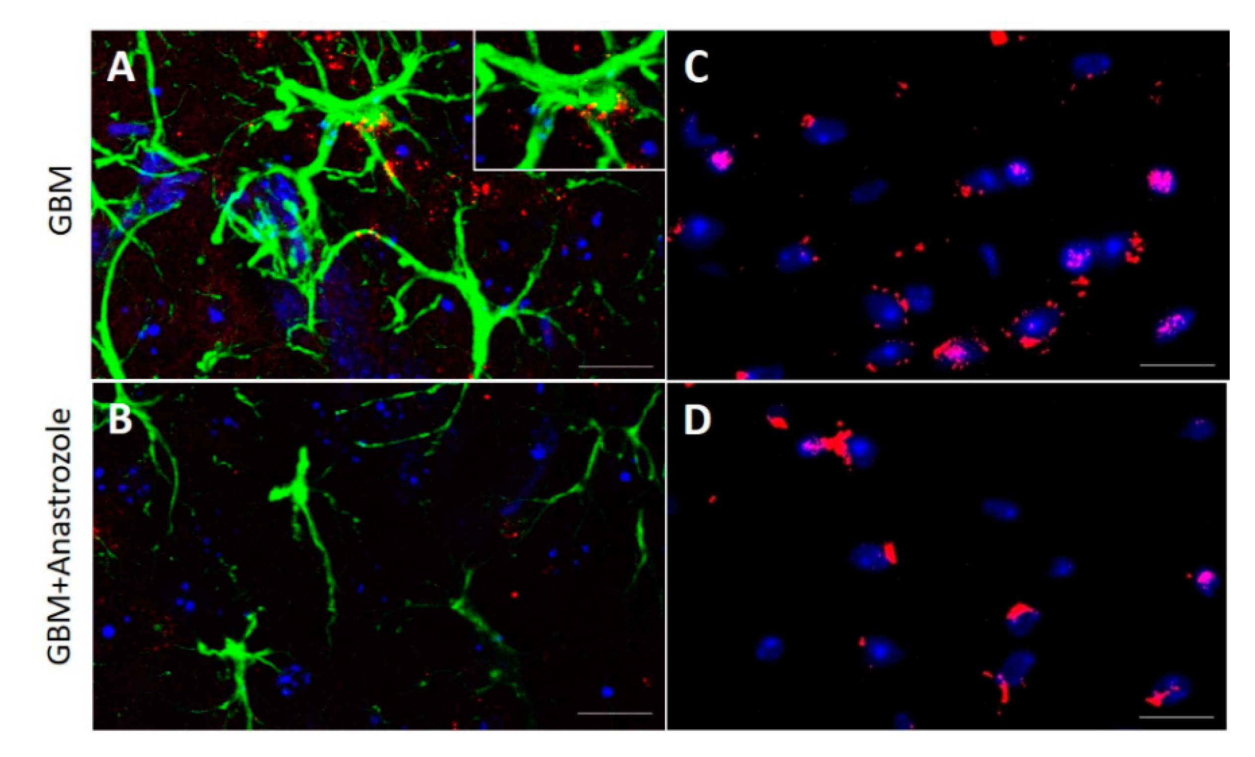 Brainsci 13 00496 g003