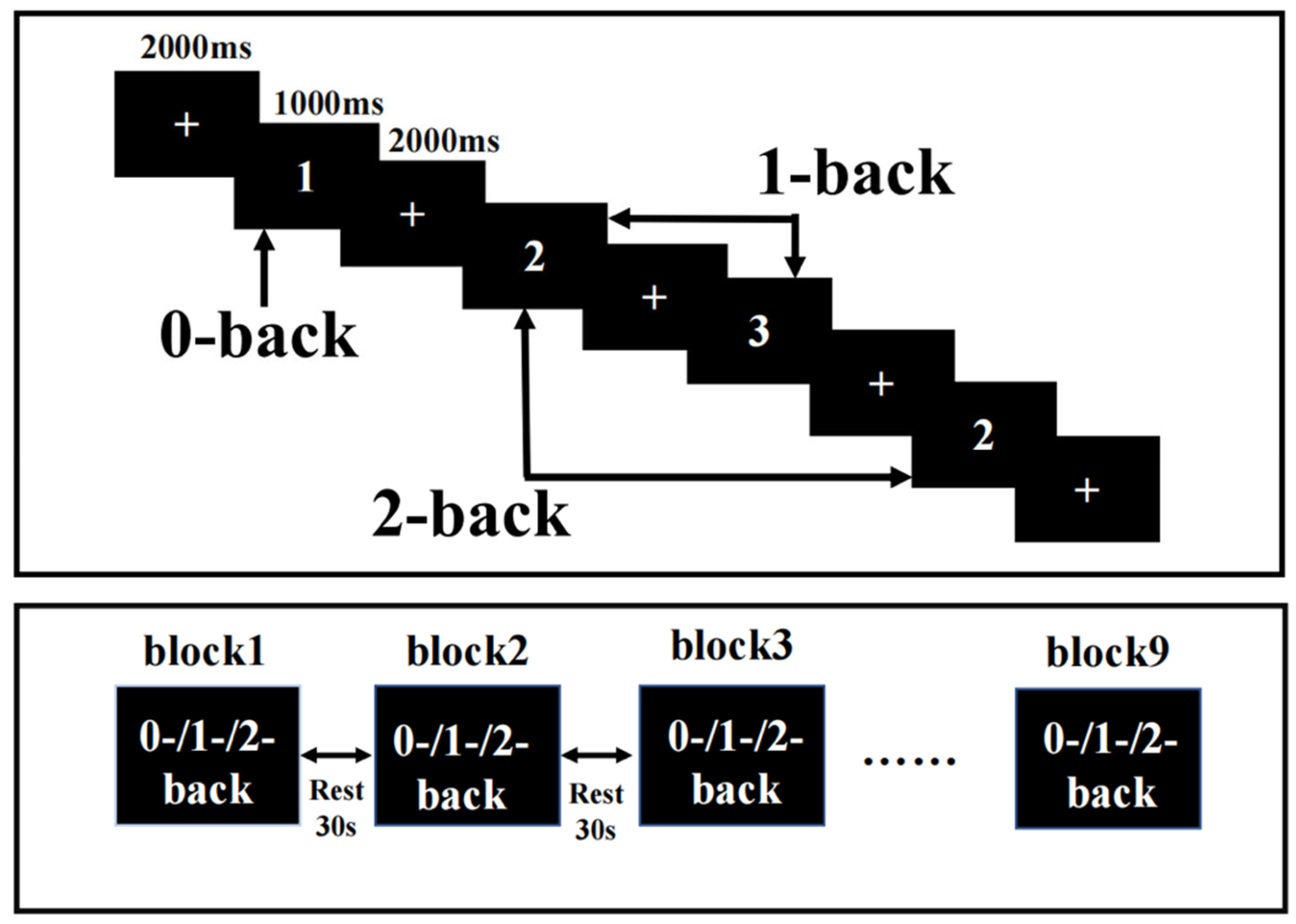 Brainsci 13 00497 g001